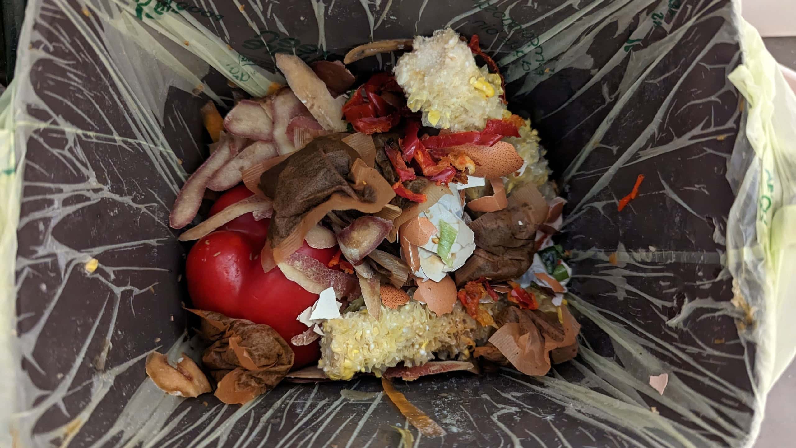 A close-up of a domestic compost garbage bin in a restaurant, filled with food waste