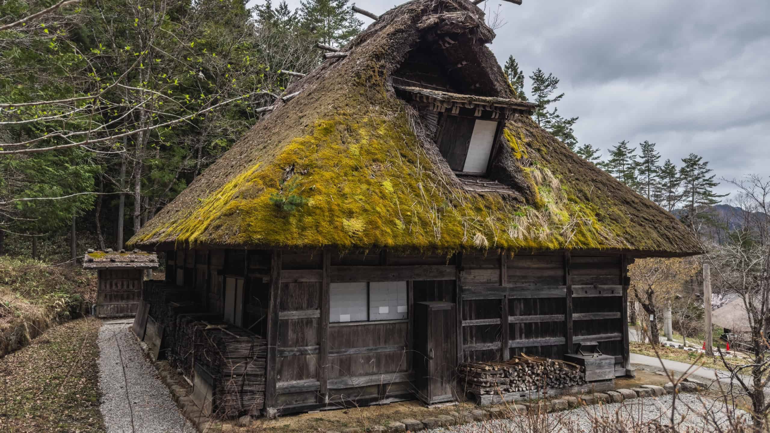 Ancient thatched-roof dwelling with mossy exterior and wooden logs, set on a gravel path, a gem for rural architecture buffs