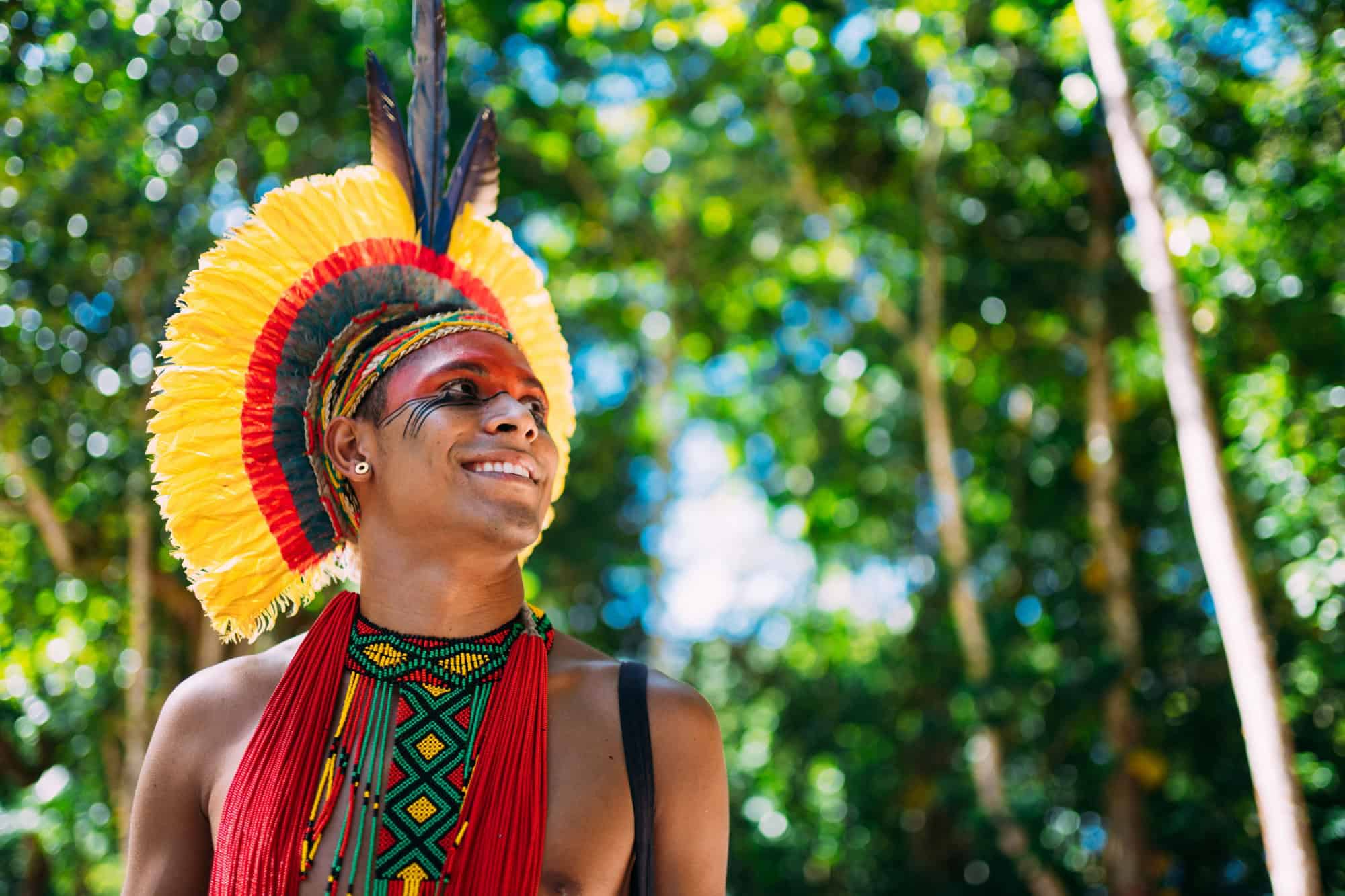 Indian from the Pataxó tribe with feather headdress looking to the right. Indigenous person with traditional facial paintings.