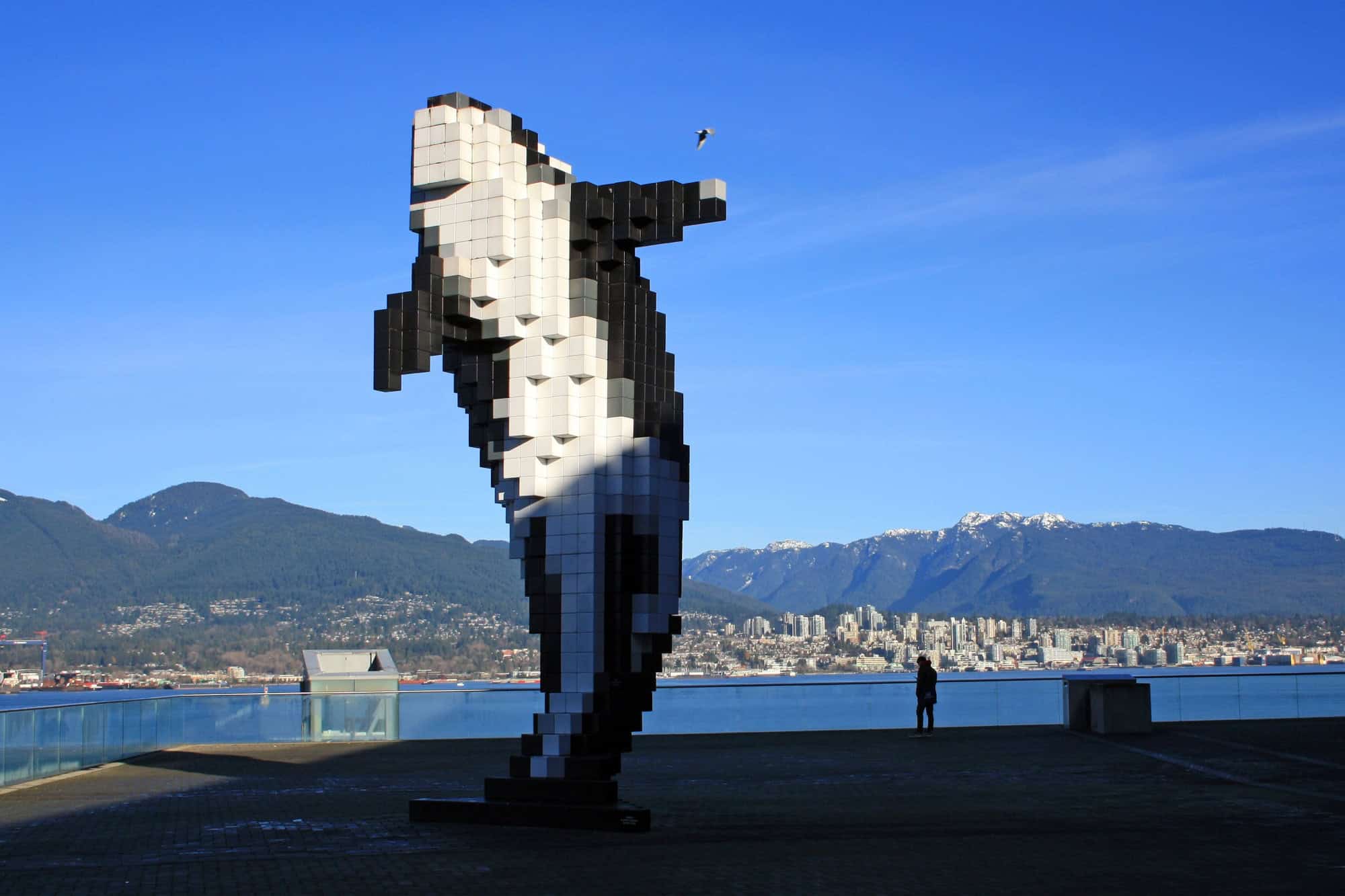 A view of a digital Orca with a beautiful seascape in the background, Vancouver, British Columbia, Canada
