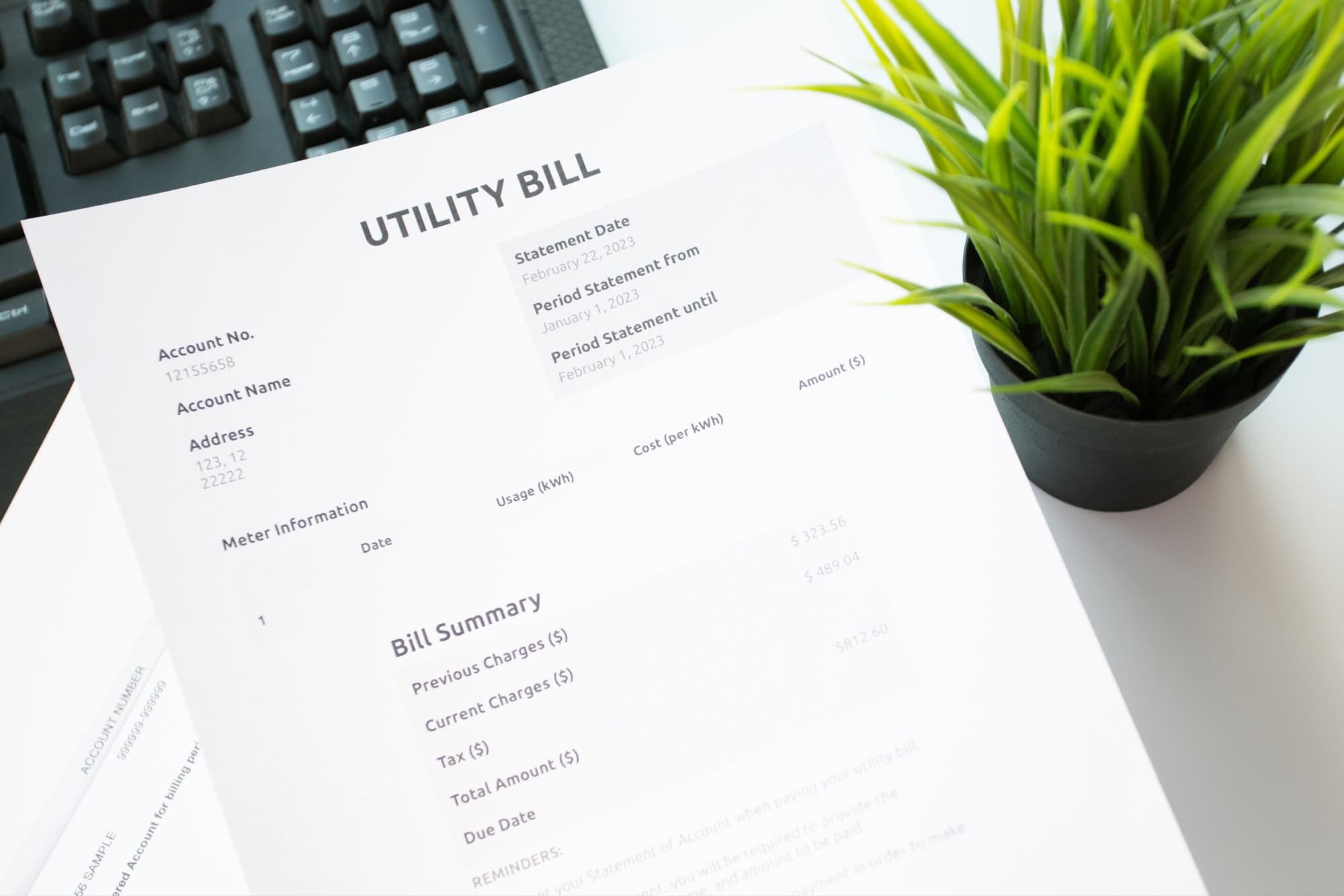Price details on utility bill, Energy bill showing electricity and gas usage
