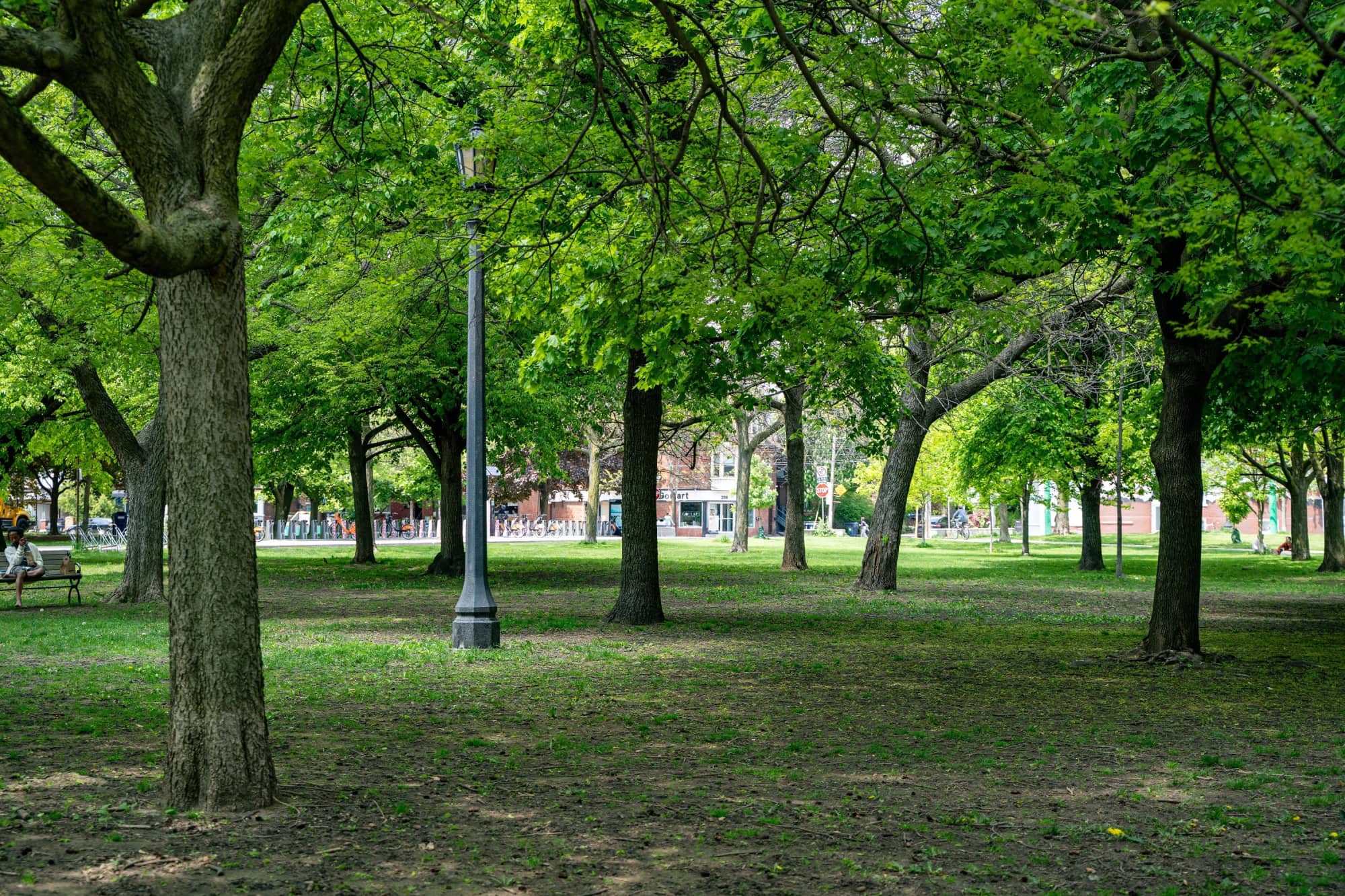 View of Trinity Bellwoods Park in spring. Trinity Bellwoods Park is a public park located in Toronto.