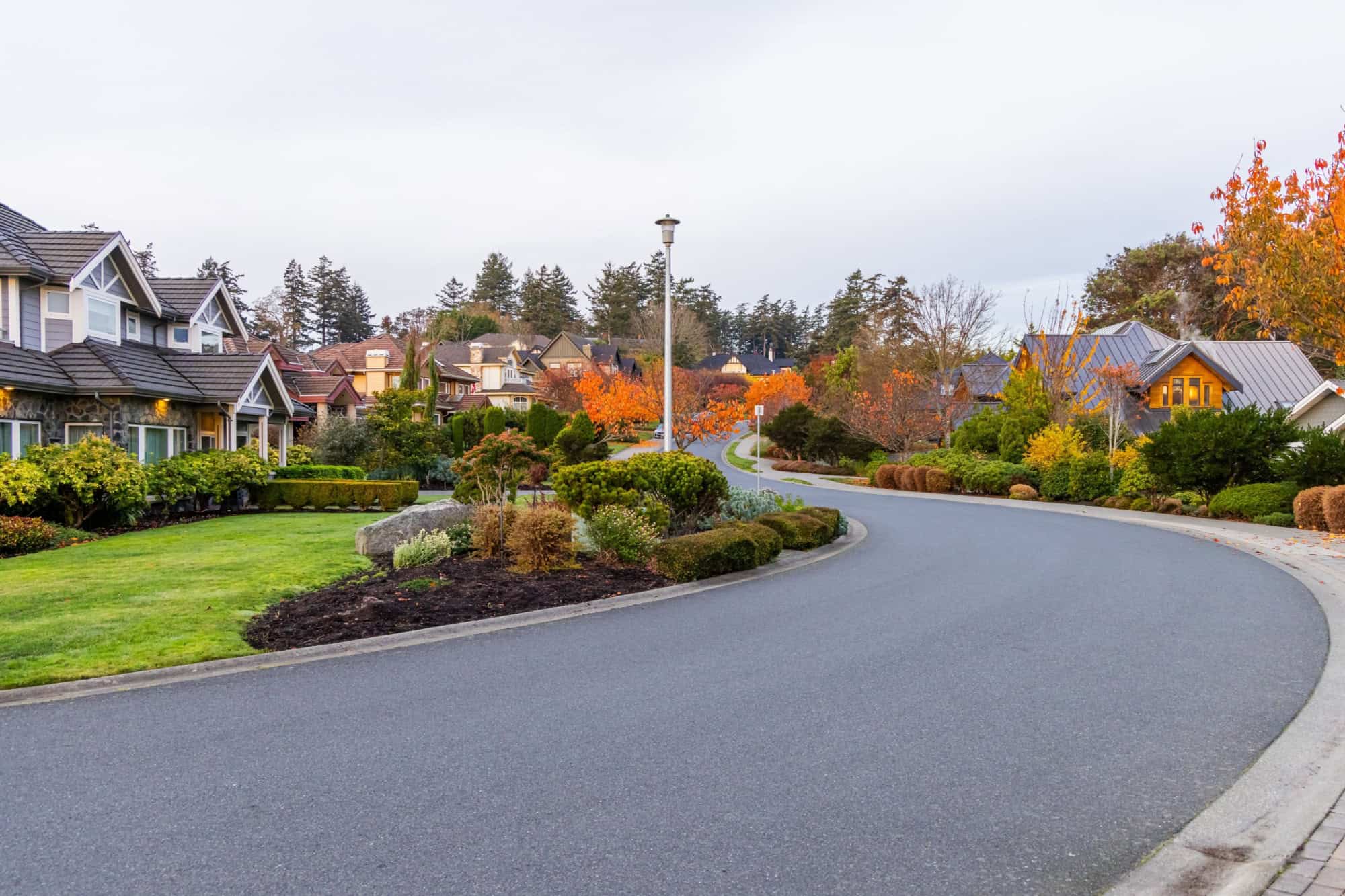 View of a peaceful residential street in Victoria, Vancouver Island, showcasing charming homes and vibrant autumn foliage.