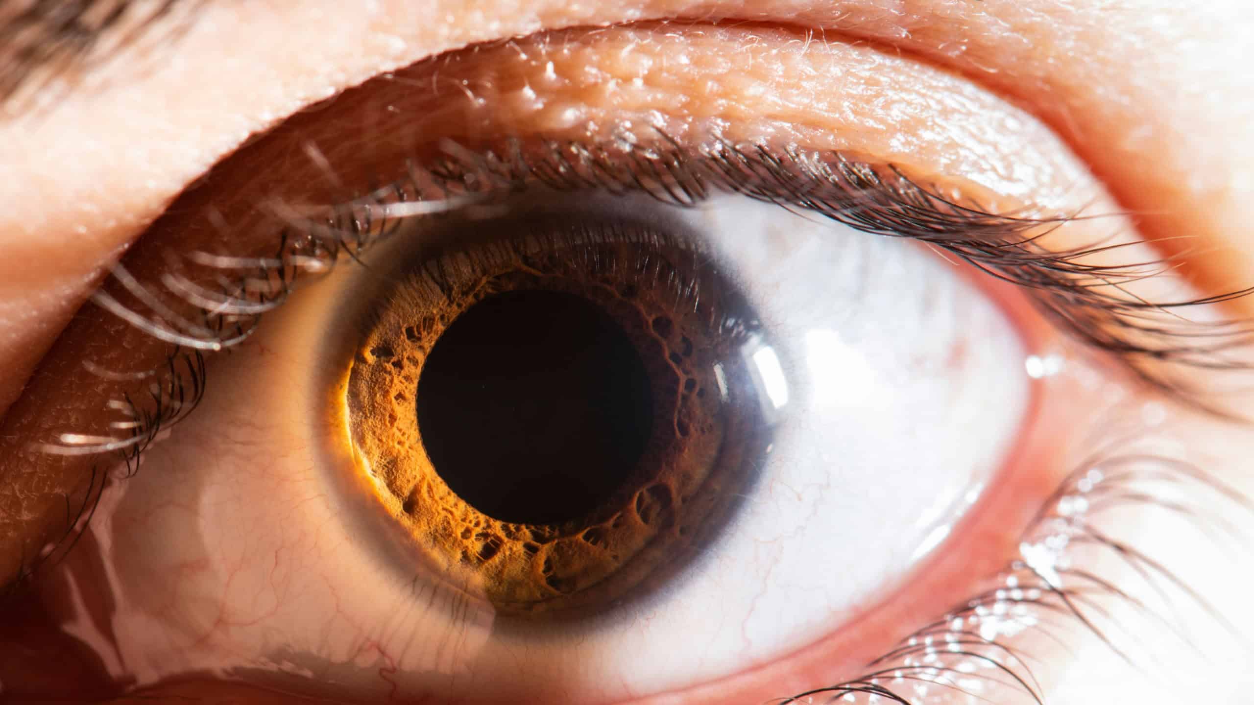 Beautiful close-up human eye. Macro photography.