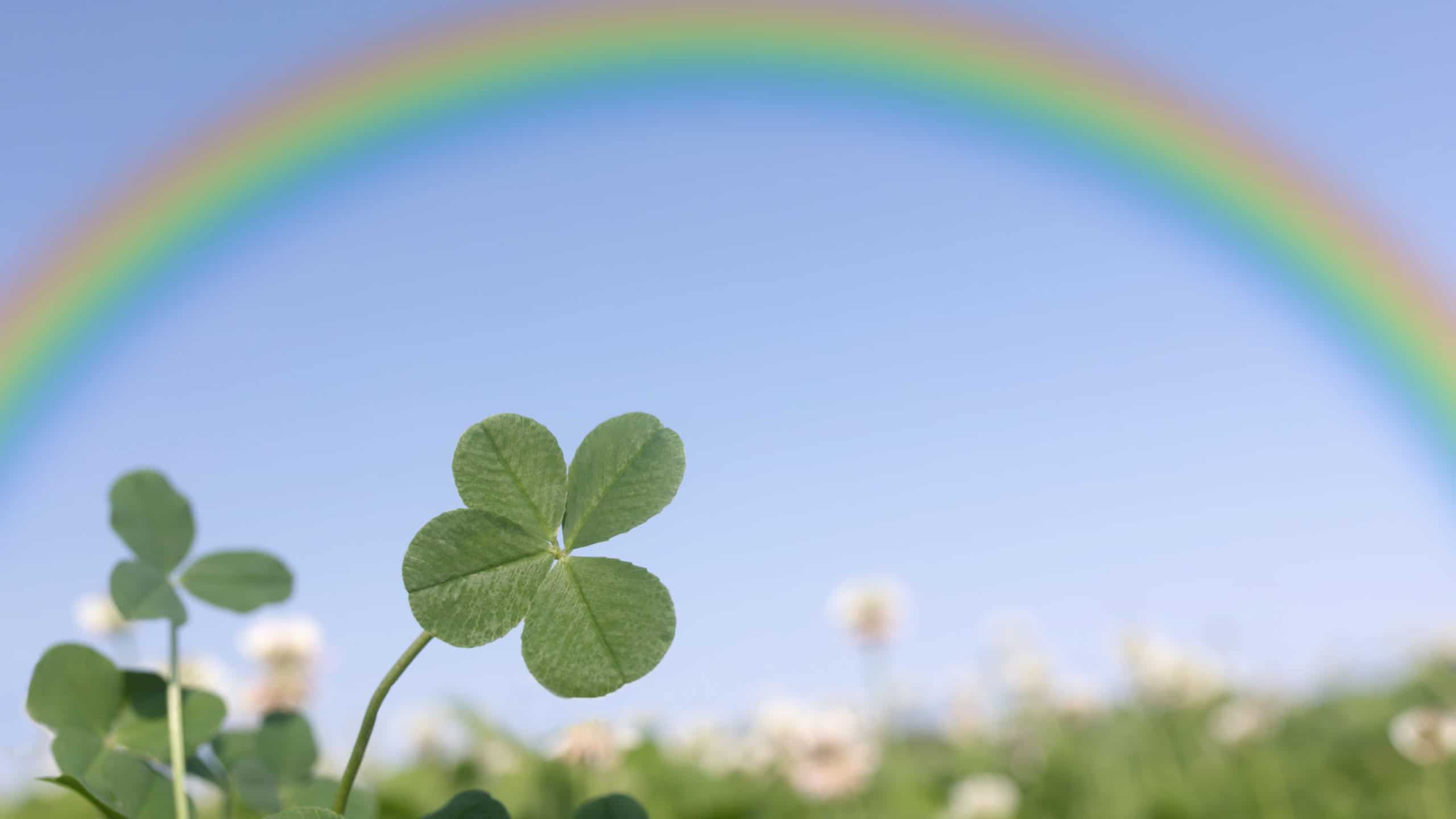 Four-leaf clover, rainbow and blue sky