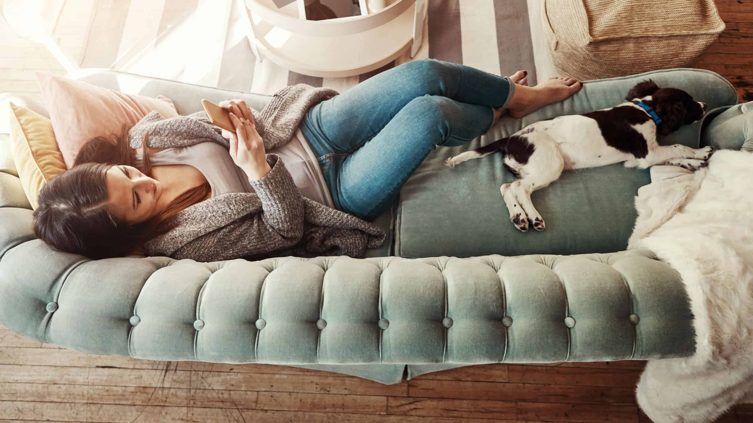 Phone, couch and woman with dog, relax and comfortable in lounge, texting and break in weekend and house. Home, girl and animal on sofa, rest and mobile for chat online, pet and person in living room