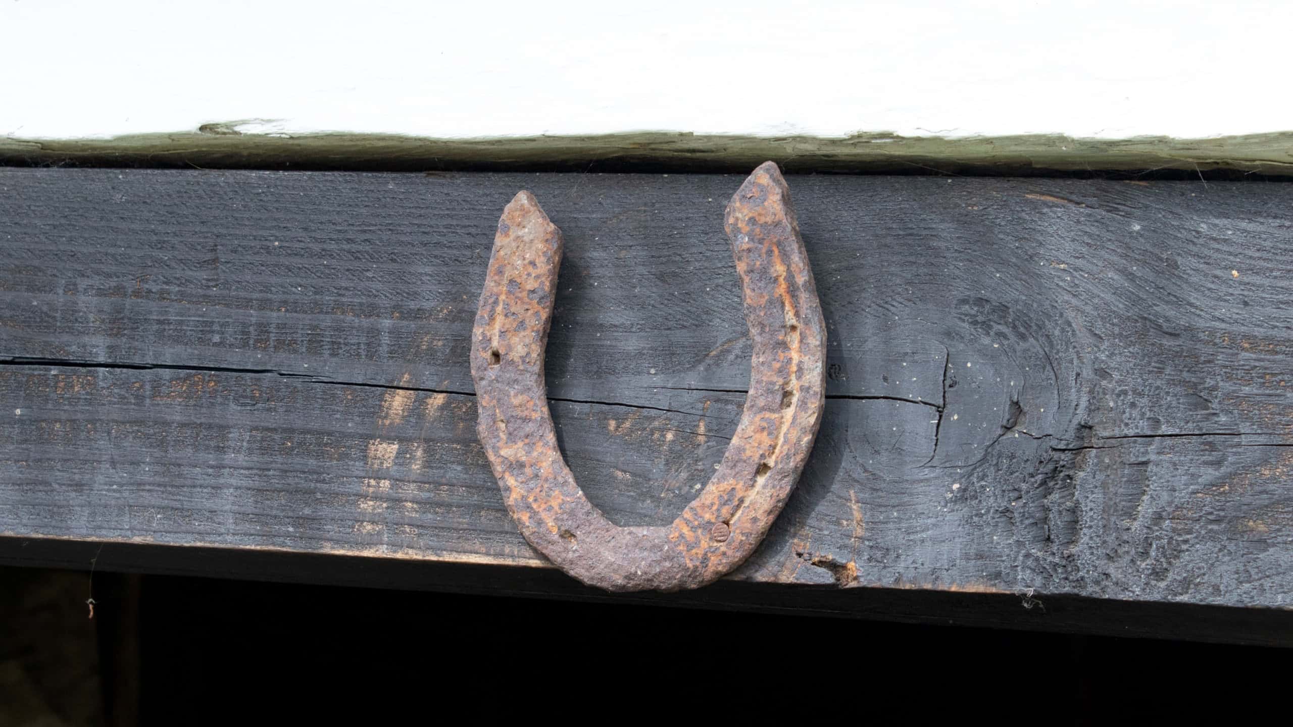 Rusty horseshoe hanging on an old wooden door with a cobweb, halloween