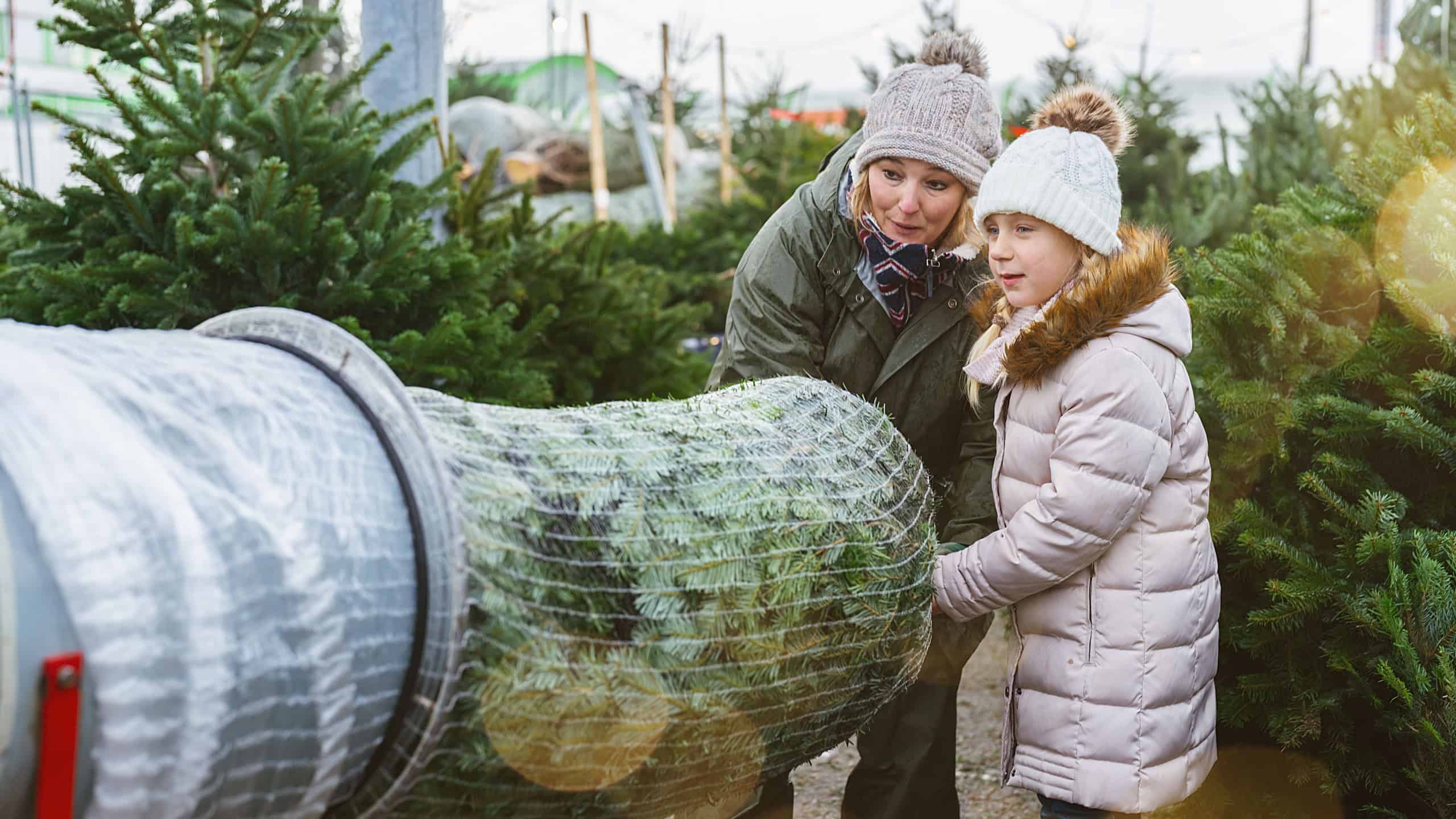 Saleswoman with a child being wrapped up a cut Christmas tree packed in a plastic net at a christmas market