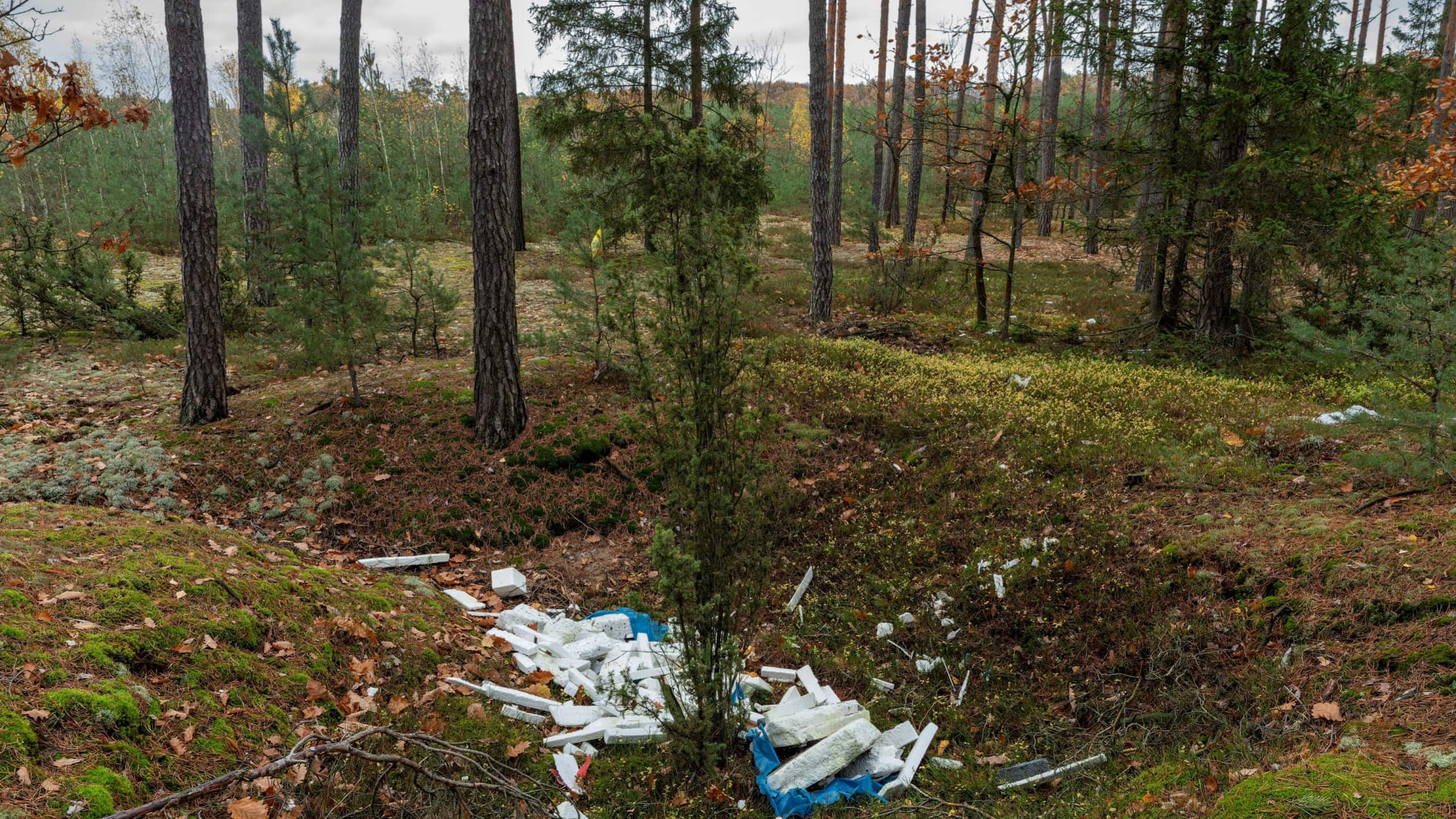 Styrofoam pieces trash in the forest. Ecology, pollution and environment risk concept.