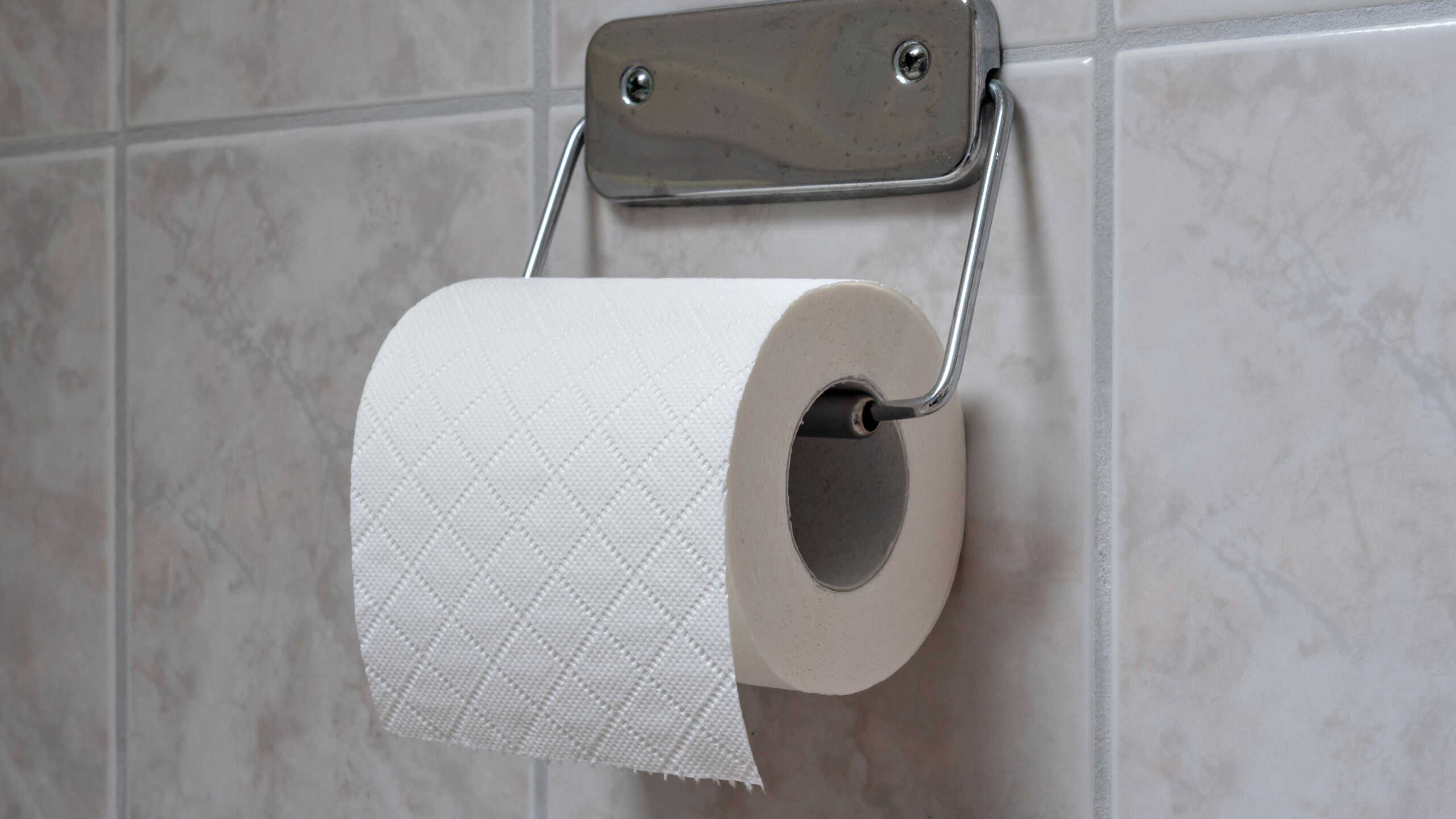 Roll of toilet paper in holder on tiled wall