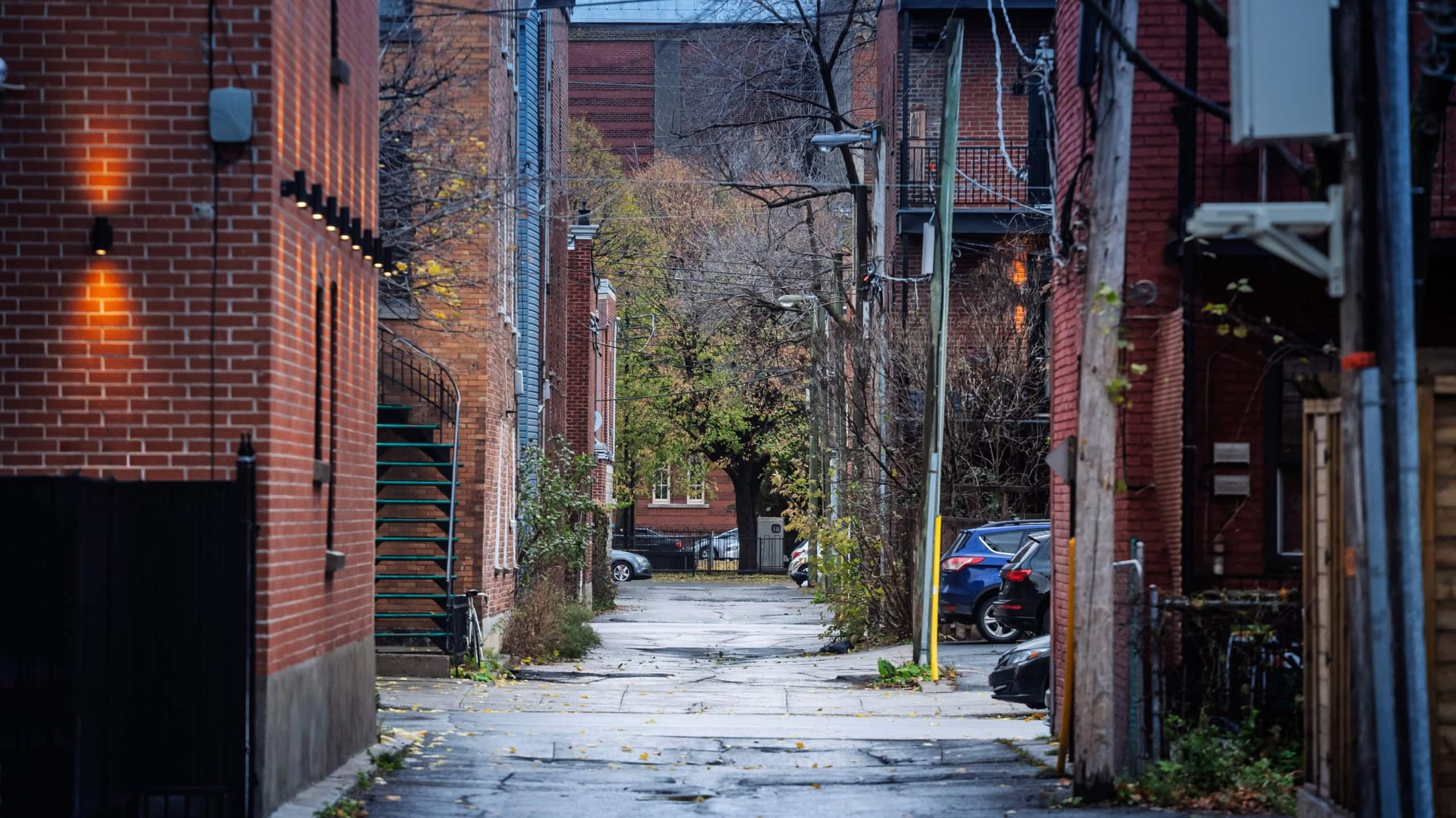 American alley in a middle-income Montreal neighbourhood shows rows of red-brick rowhouses, bare trees, scattered yellow leaves and parked cars under soft evening drizzle, evoking Canada urban living.
