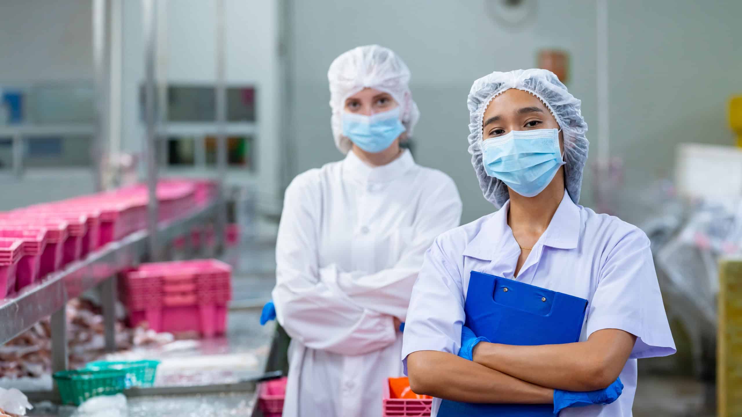 Canned processed food business entrepreneur manufacturing factory industry. Quality control officer inspecting raw material in production line. Worker preparing sardines packaging into aluminum cans.