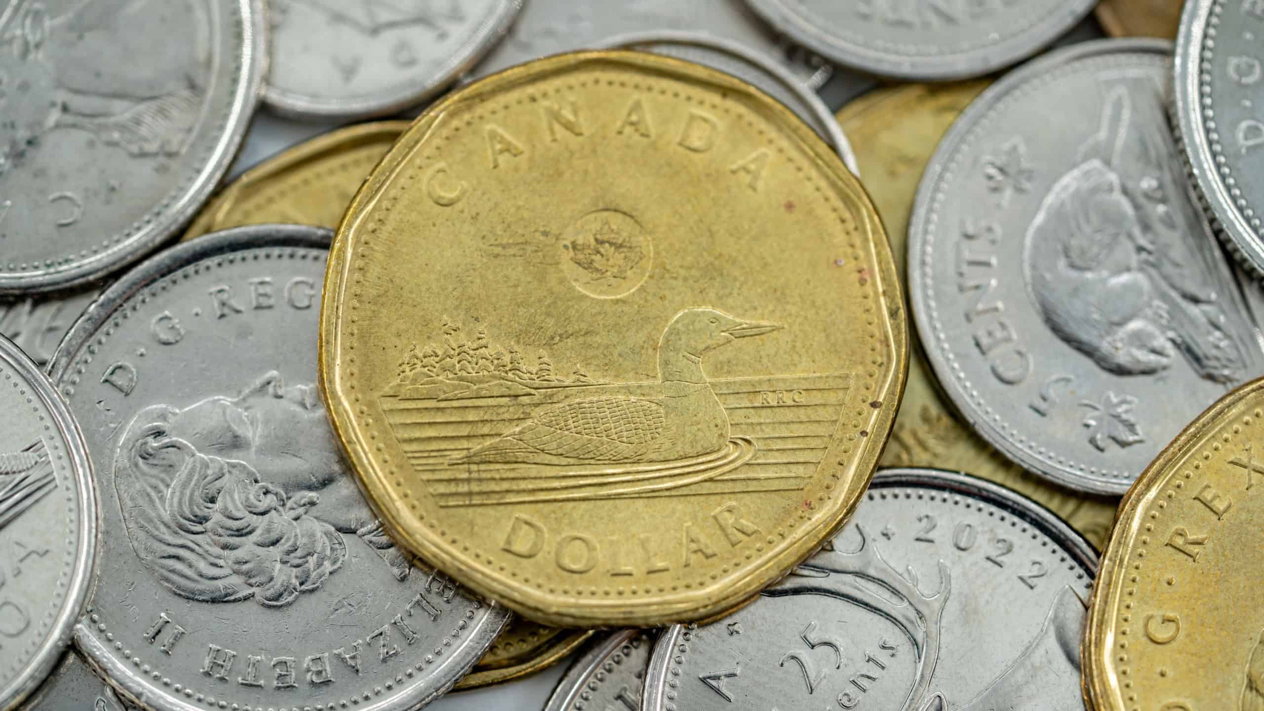 Close up of Canadian one dollar coin with loon bird design. Toronto, Canada - September 18, 2025.