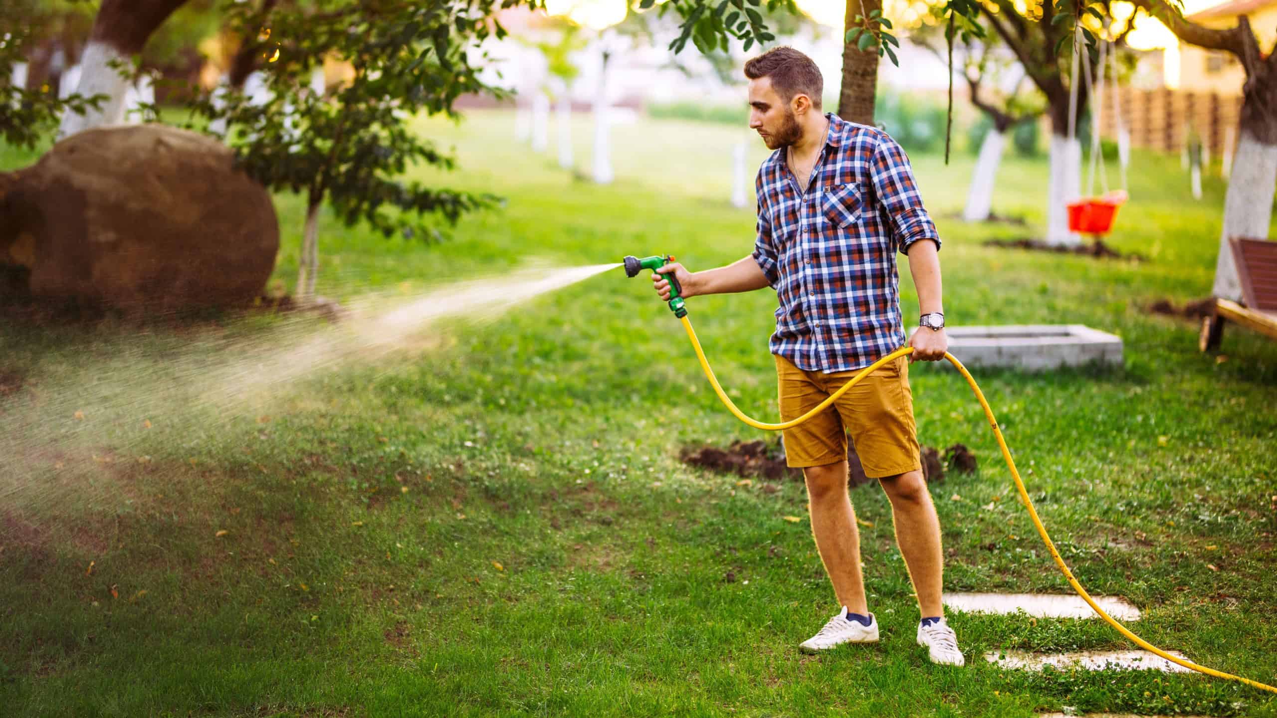 Backyard gardening - portrait of gardener using water hose and watering the lawn, grass and plants.