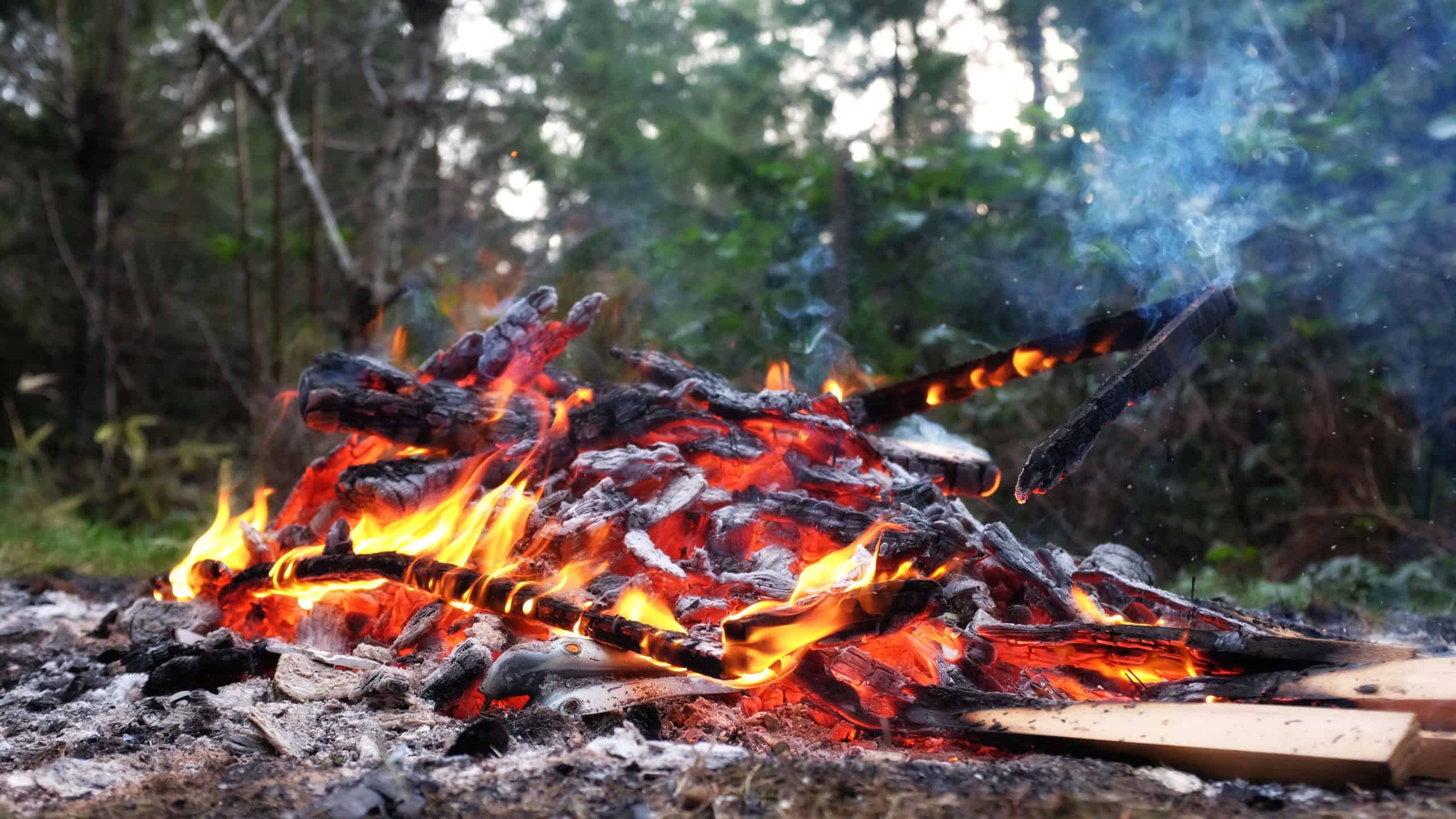 Backyard fire burning logs beautiful