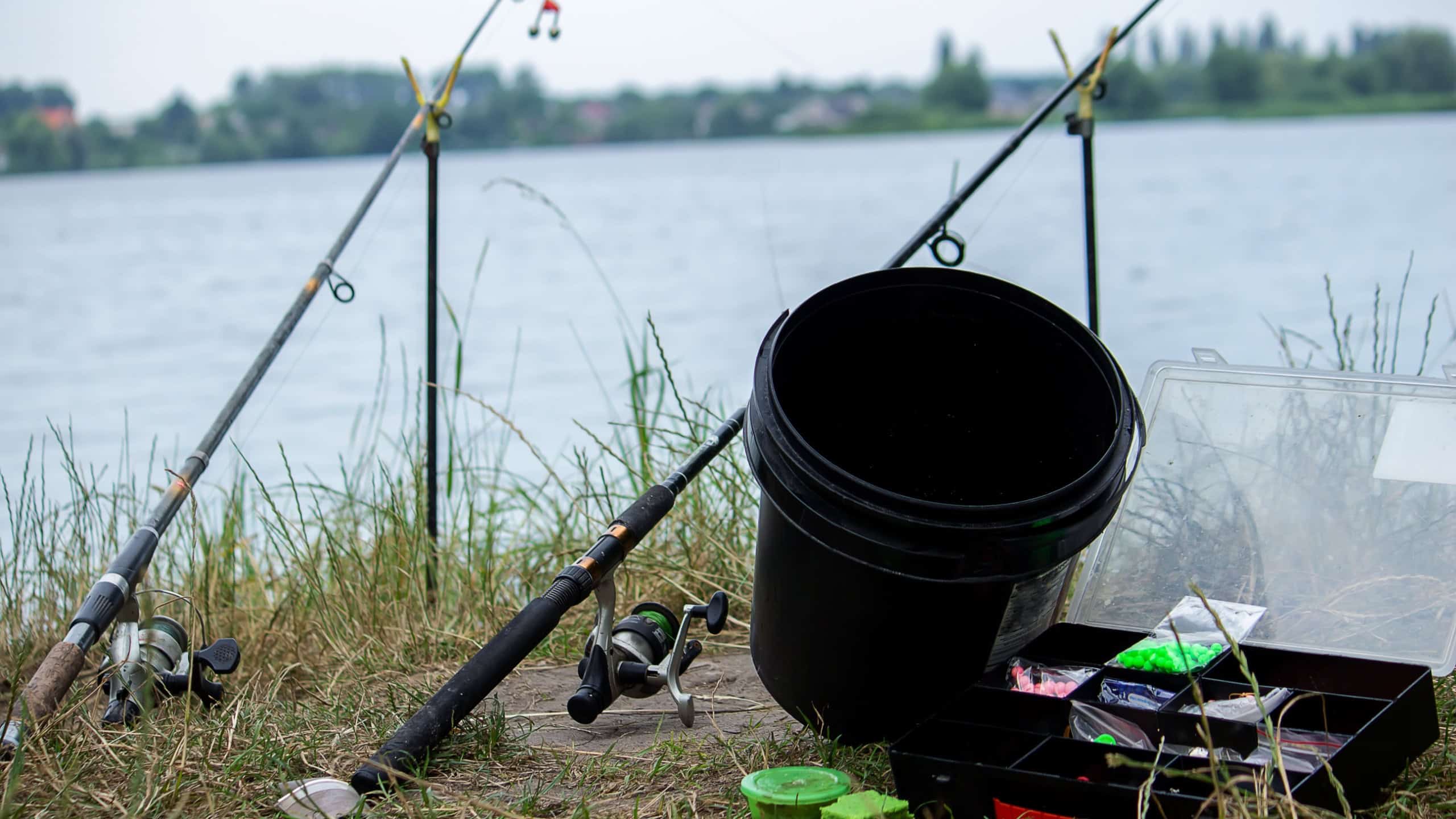 Fishing tackle on the river bank, bait rod, spinning rod, fish.