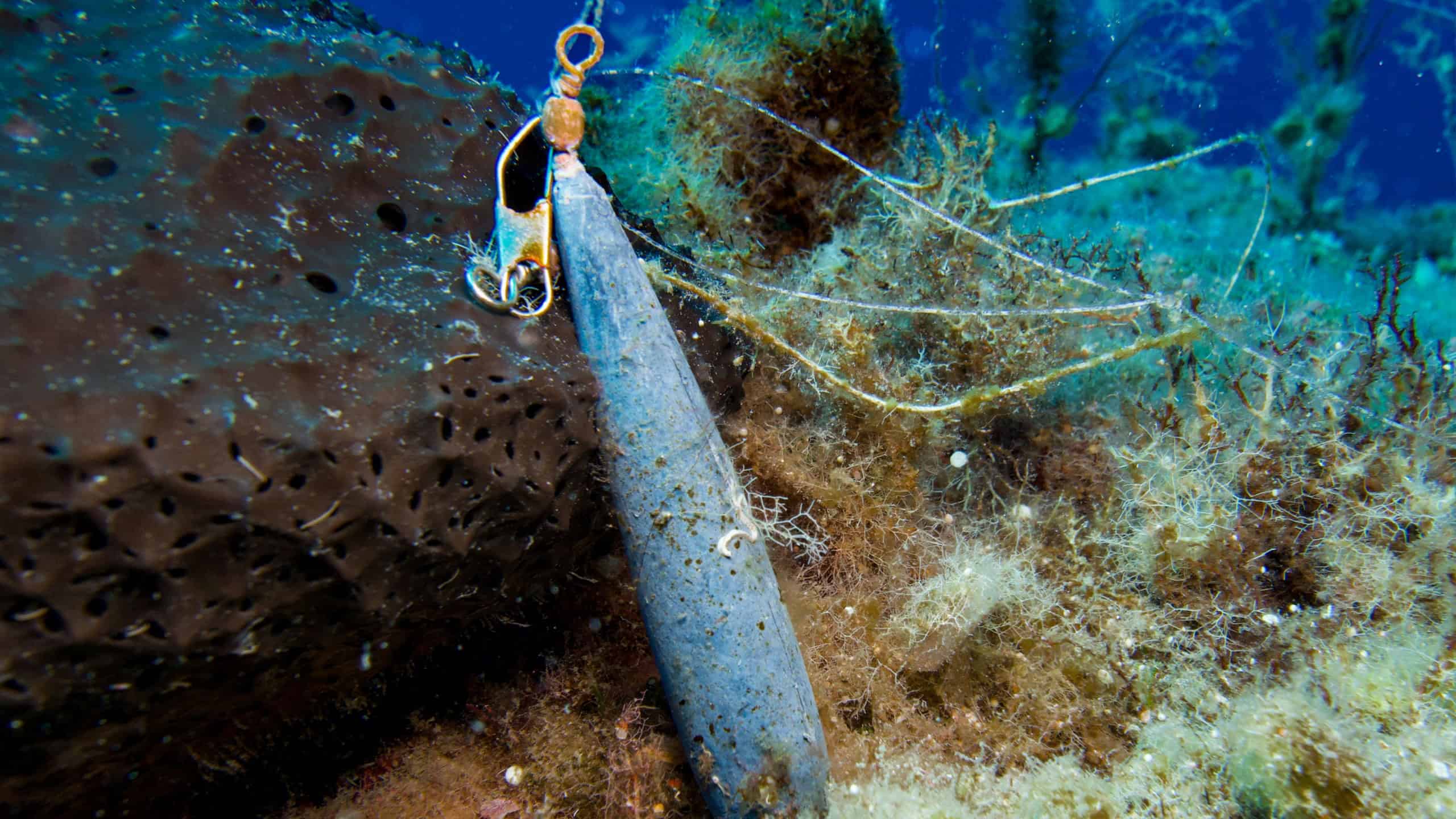 Lost lead sinker polluting the sea