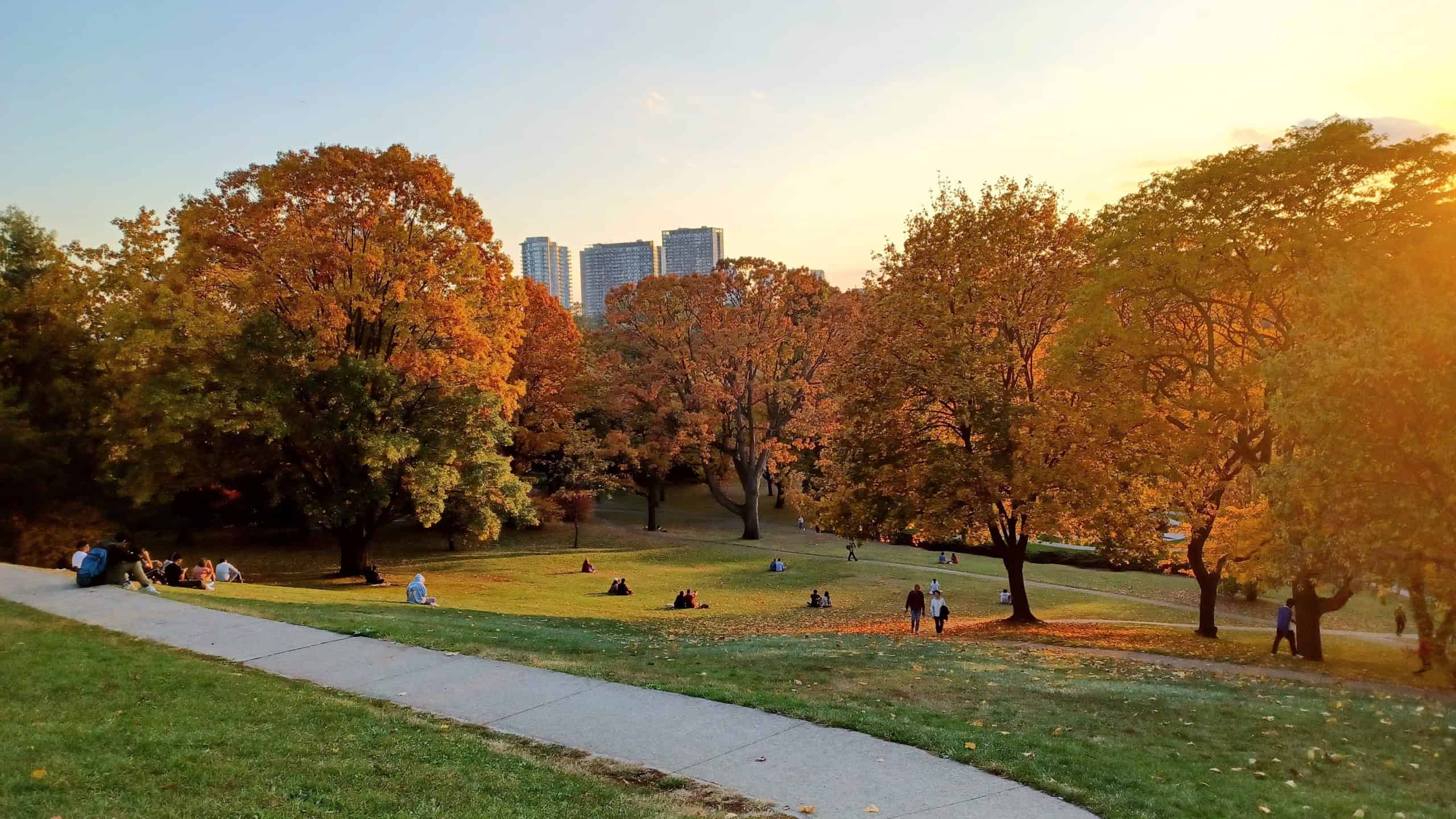Toronto, ON, Canada - October 27, 2023: People enjoying the park view at sunset in Toronto's High Park on a warm fall evening