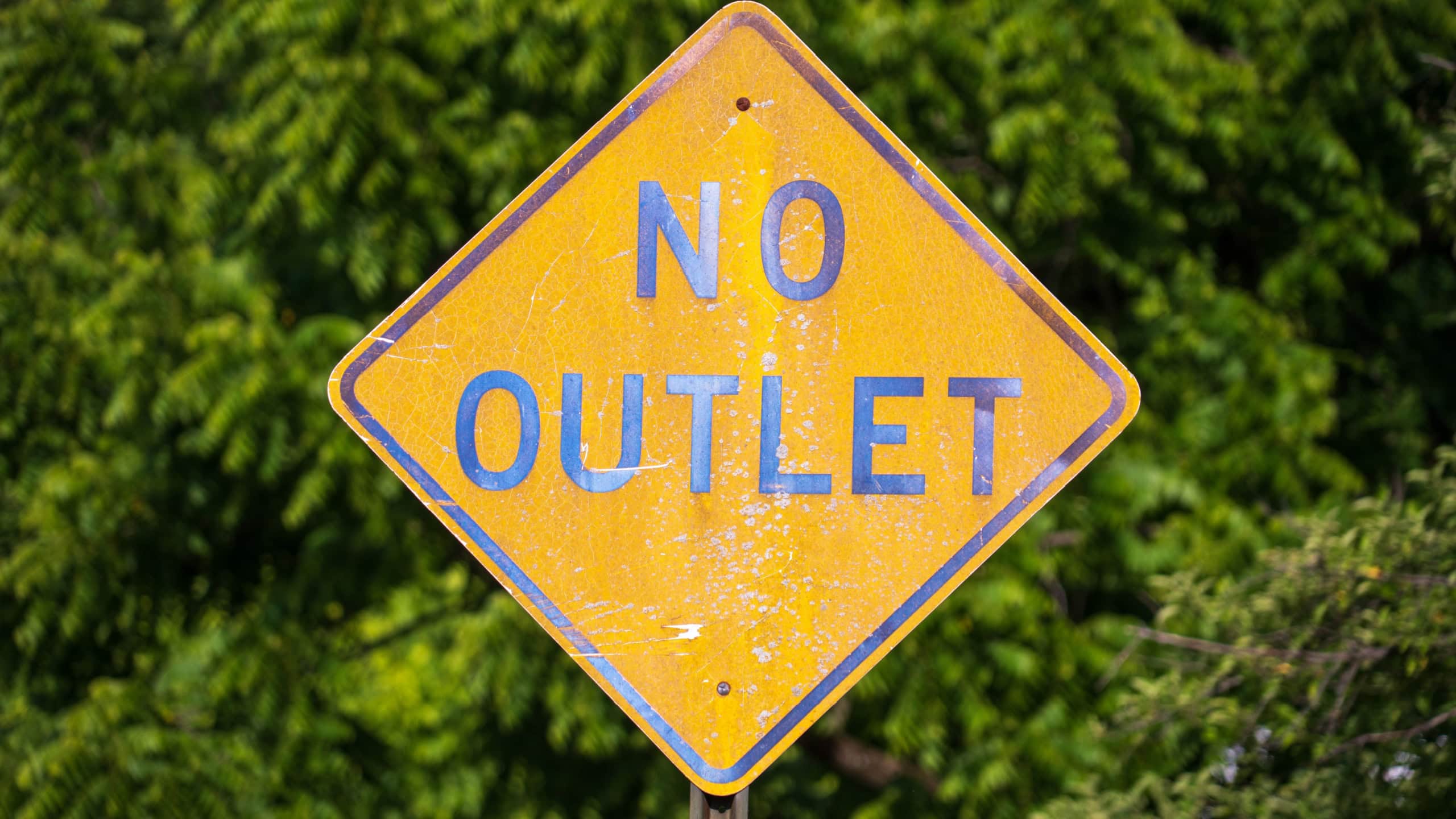 A No Outlet Road Sign In Front of Greenery