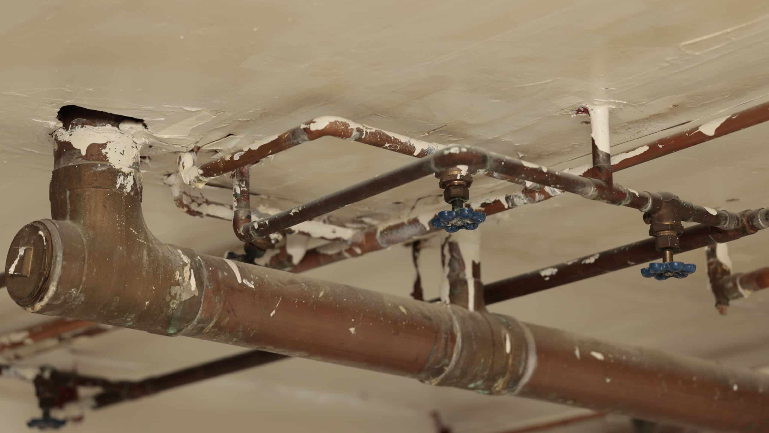 Old, rusted water pipes and valves running along a basement ceiling, indicating aging plumbing infrastructure.