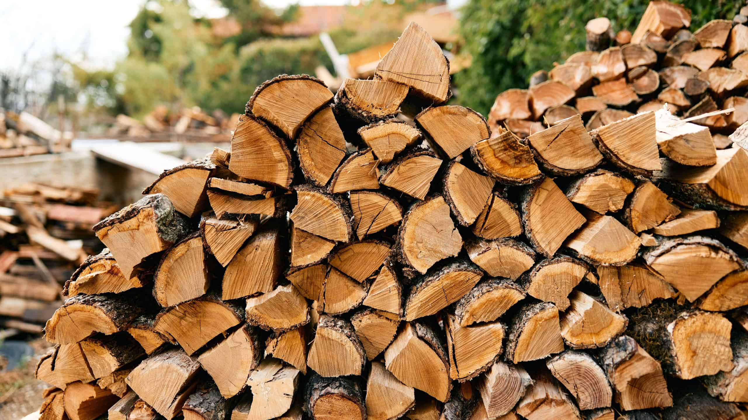 Stacked logs in front of rustic cabin with trees in background