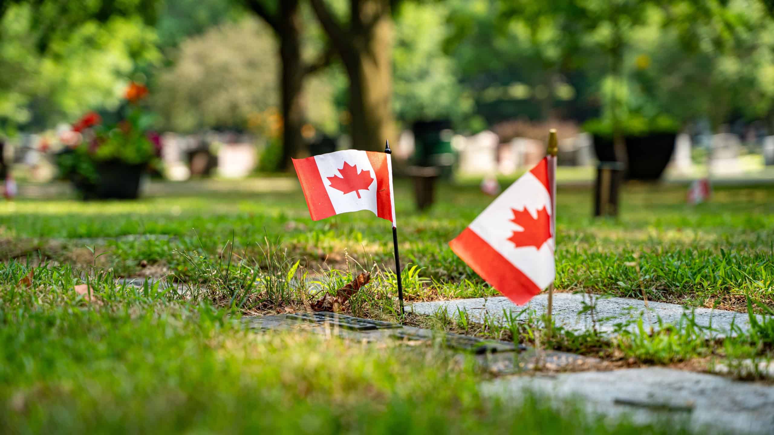 View of Canadian flag in grass, nature