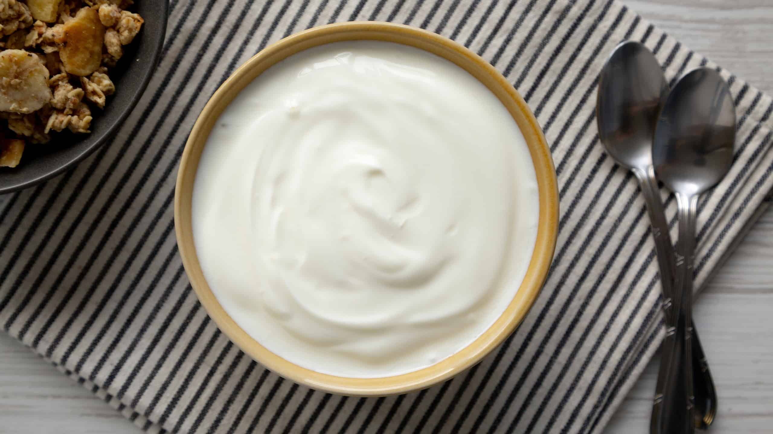 Organic Whole Fat Greek Yogurt in a Bowl, top view.