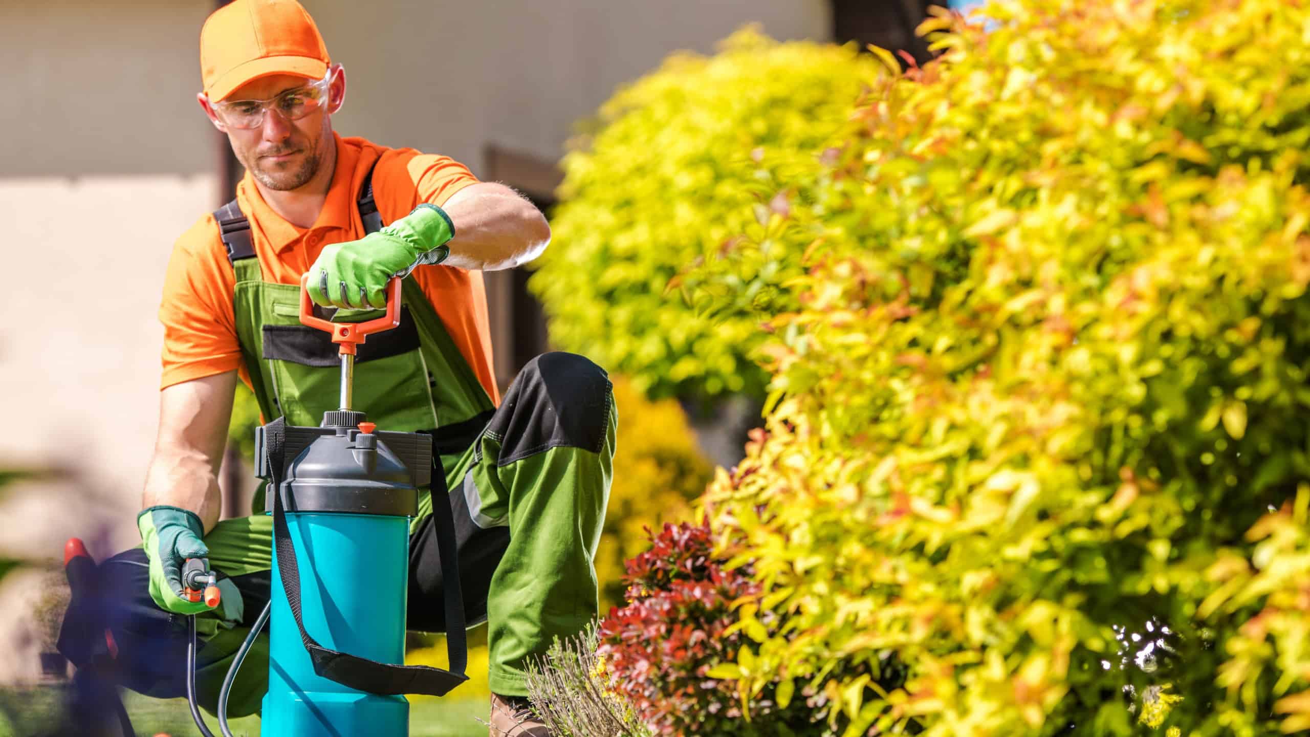 A gardener in bright attire kneels on green grass, applying treatment to plants with a sprayer surrounded by colorful foliage on a sunny day.