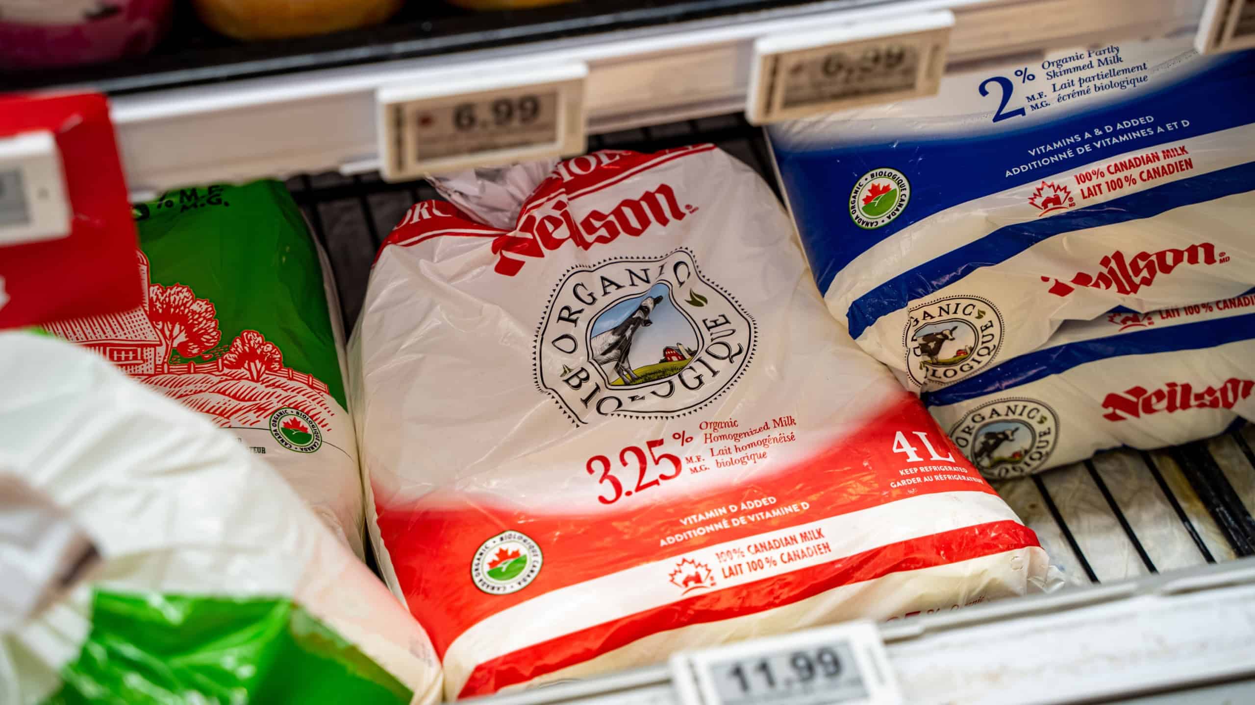 Close up of packaged milk bags displayed in supermarket refrigerator. Toronto, Canada - September 20, 2025.