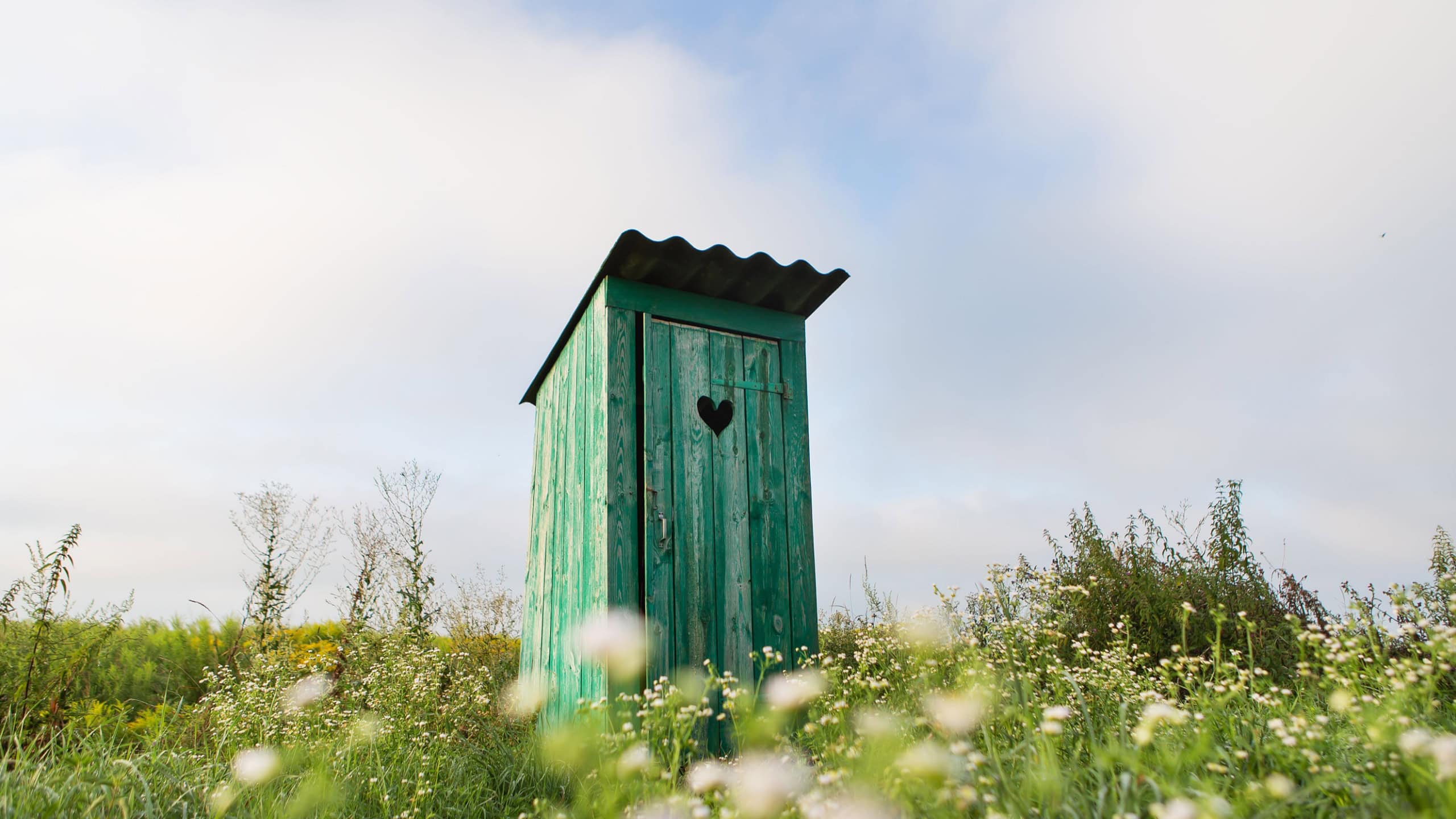 Vintage toilet. An outdoor rustic green toilet with a heart cut out on the door. Toilet in a field of flowers