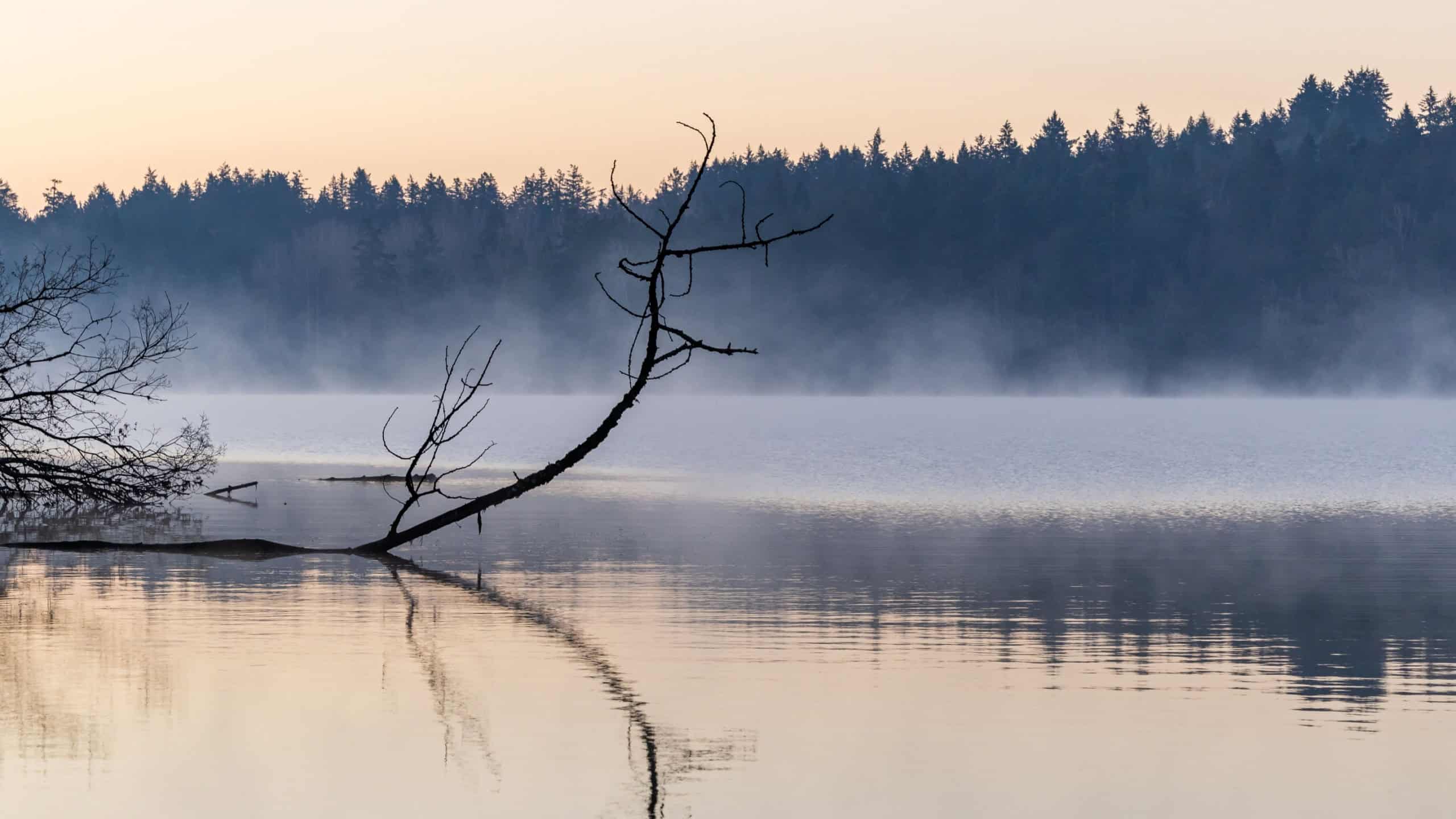 A tranquil sunrise at Elk Lake in Victoria, Vancouver Island, capturing the misty atmosphere and serene reflections on calm waters.