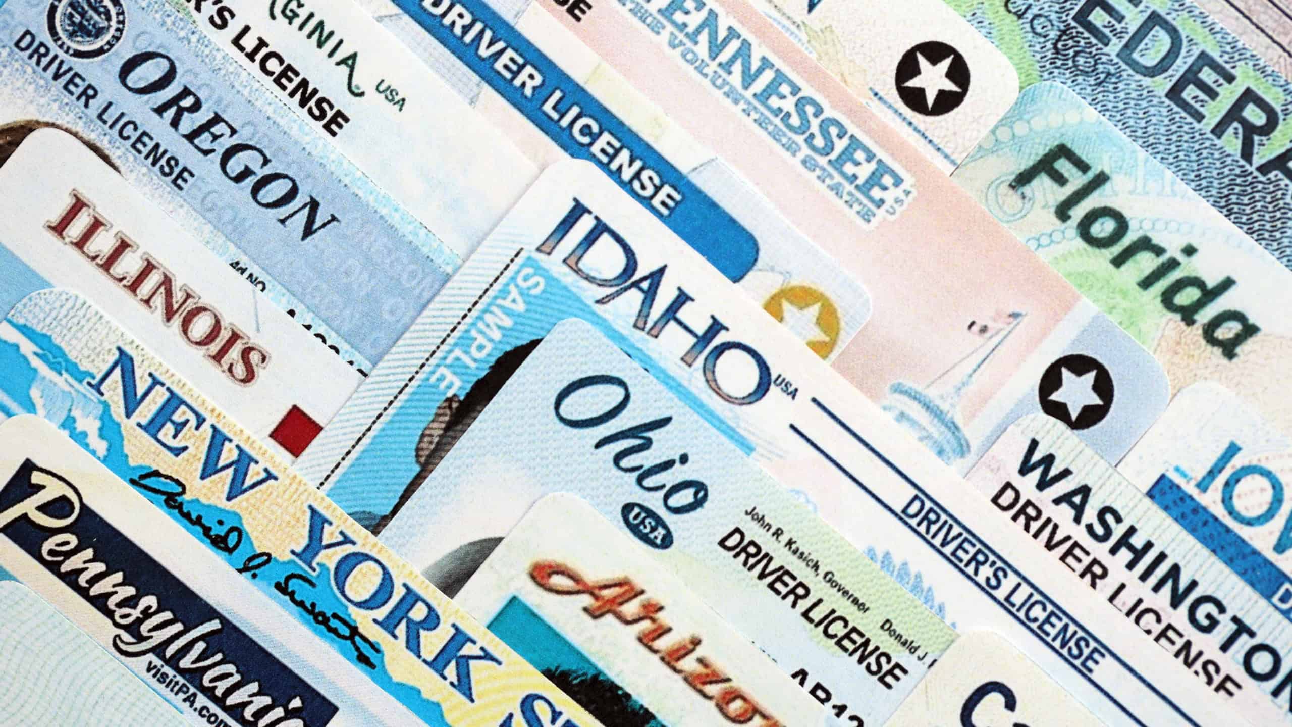 Big amount of driving licenses from various USA states. Stack of driving license specimen cards