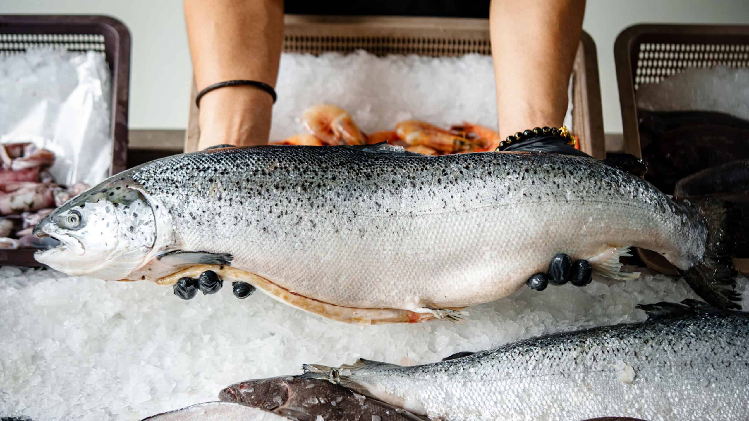 Whole Fresh Salmon Fish - Ideal for seafood menus, healthy food concepts, meal prep, and cooking ingredients.