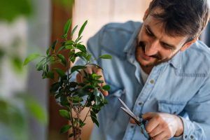 10 old boomer habits that are making a comeback