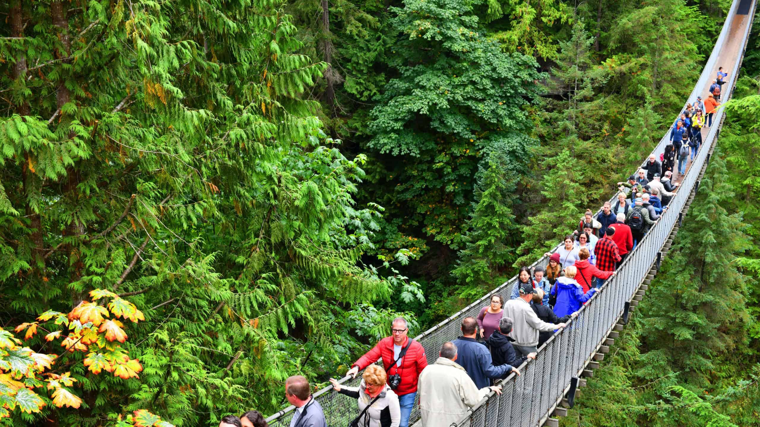Vancouver, Canada - September 25,2017: Visitors exploring the Capilano Suspension Bridge park in North Vancouver, Capilano Suspension Bridge is 460 feet long and 230 metres above the river.