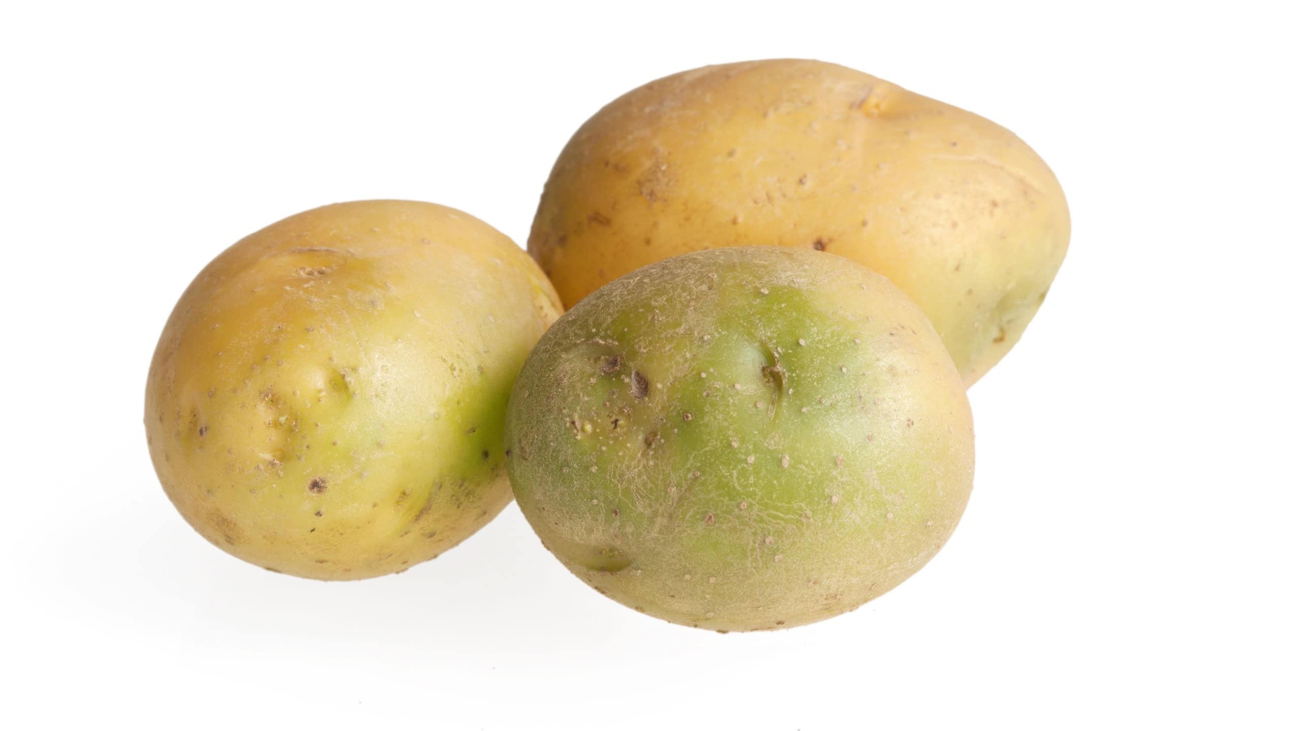 Green potatoes containing solanine are poisonous