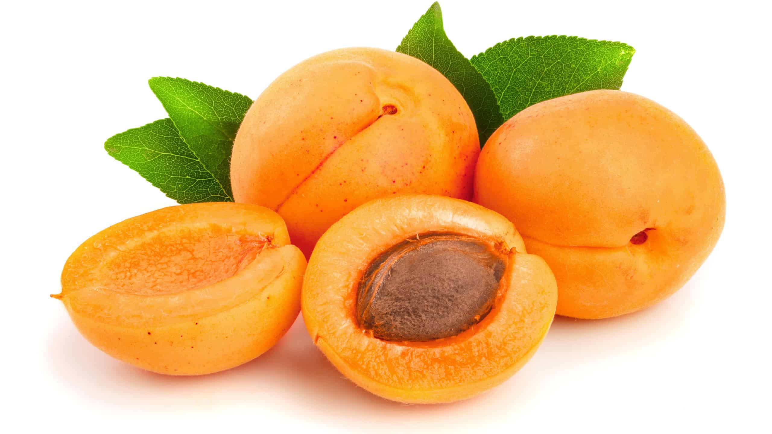 Apricot fruits with leaves isolated on white background macro