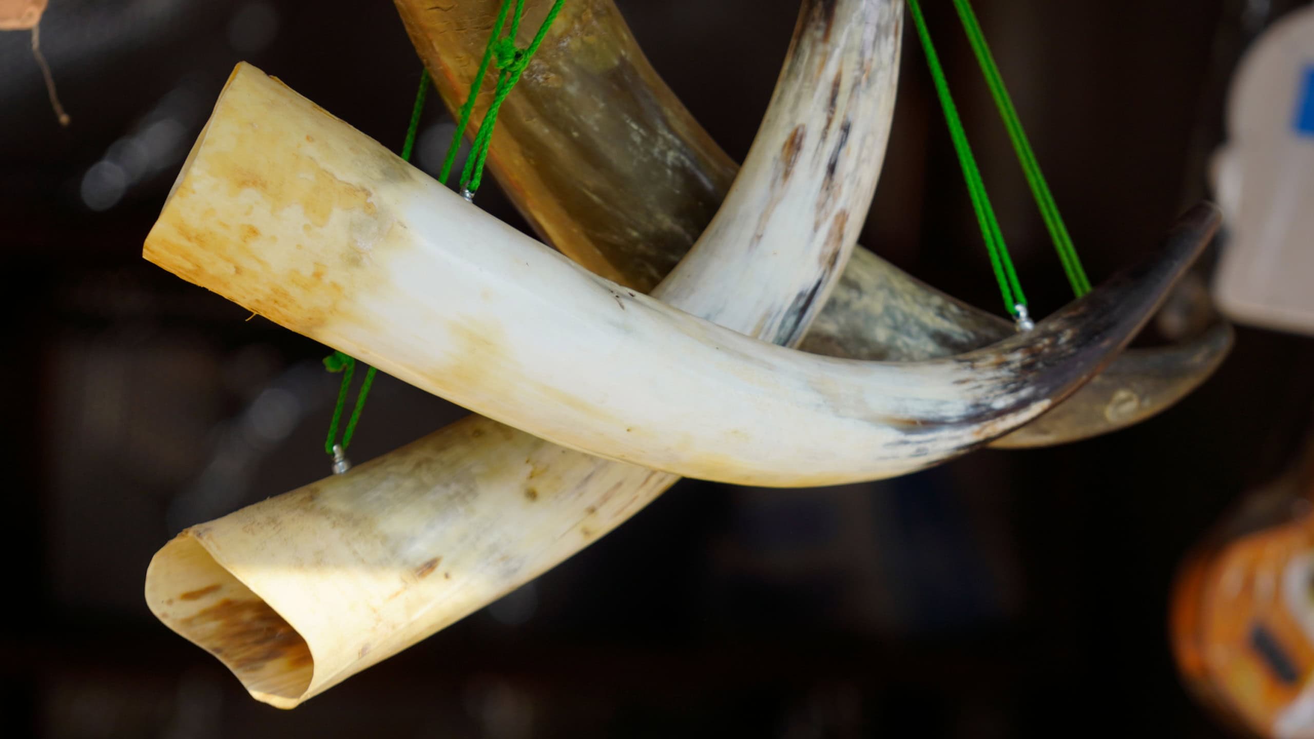 Elephant tusk made for souvenir gift
