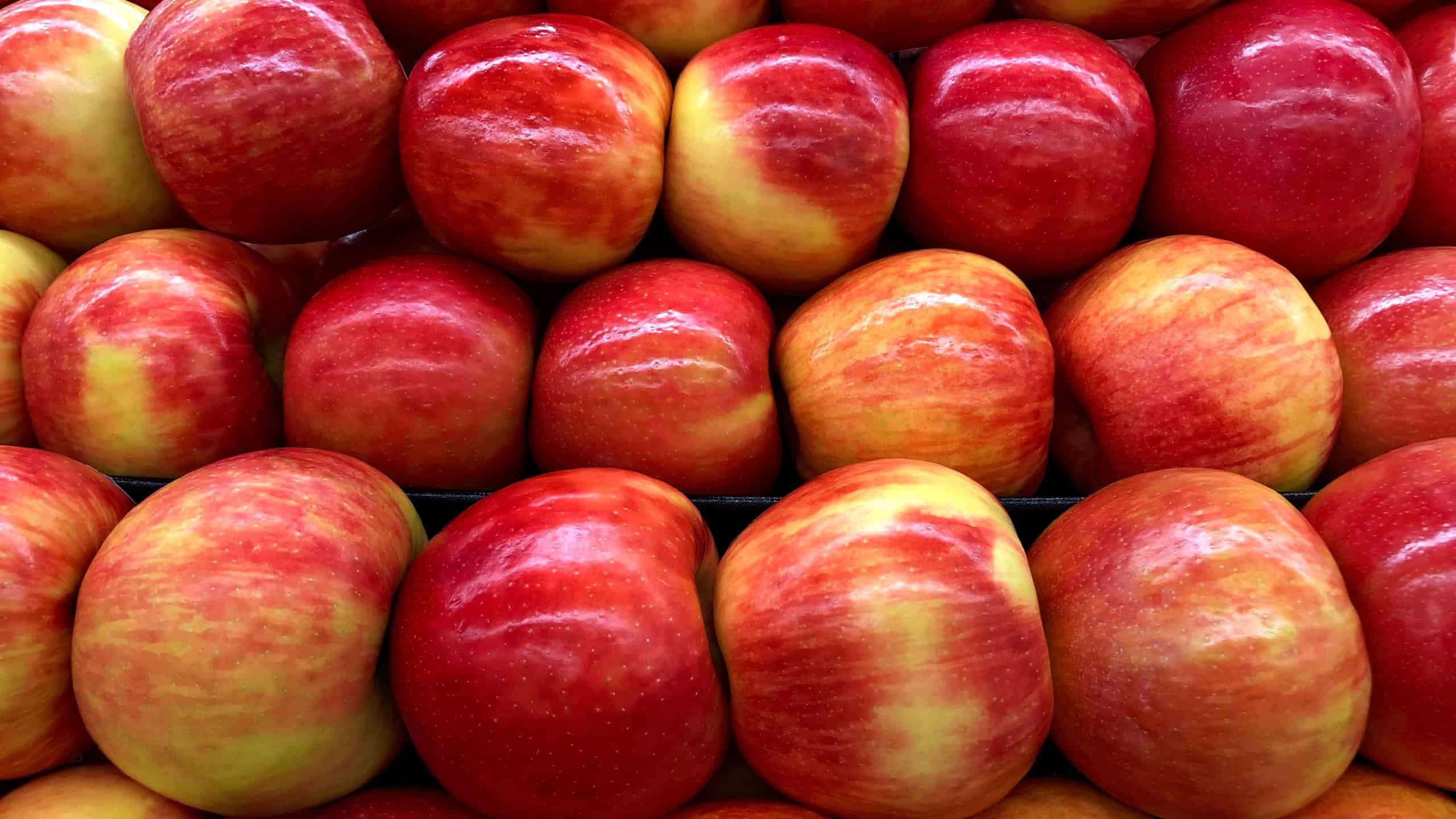 Close up on Honey Crisp red and golden apples in a fruit bin display for sale. Honeycrisp is an apple cultivar developed at the Minnesota Agricultural Experiment Station at the University of Minnesota