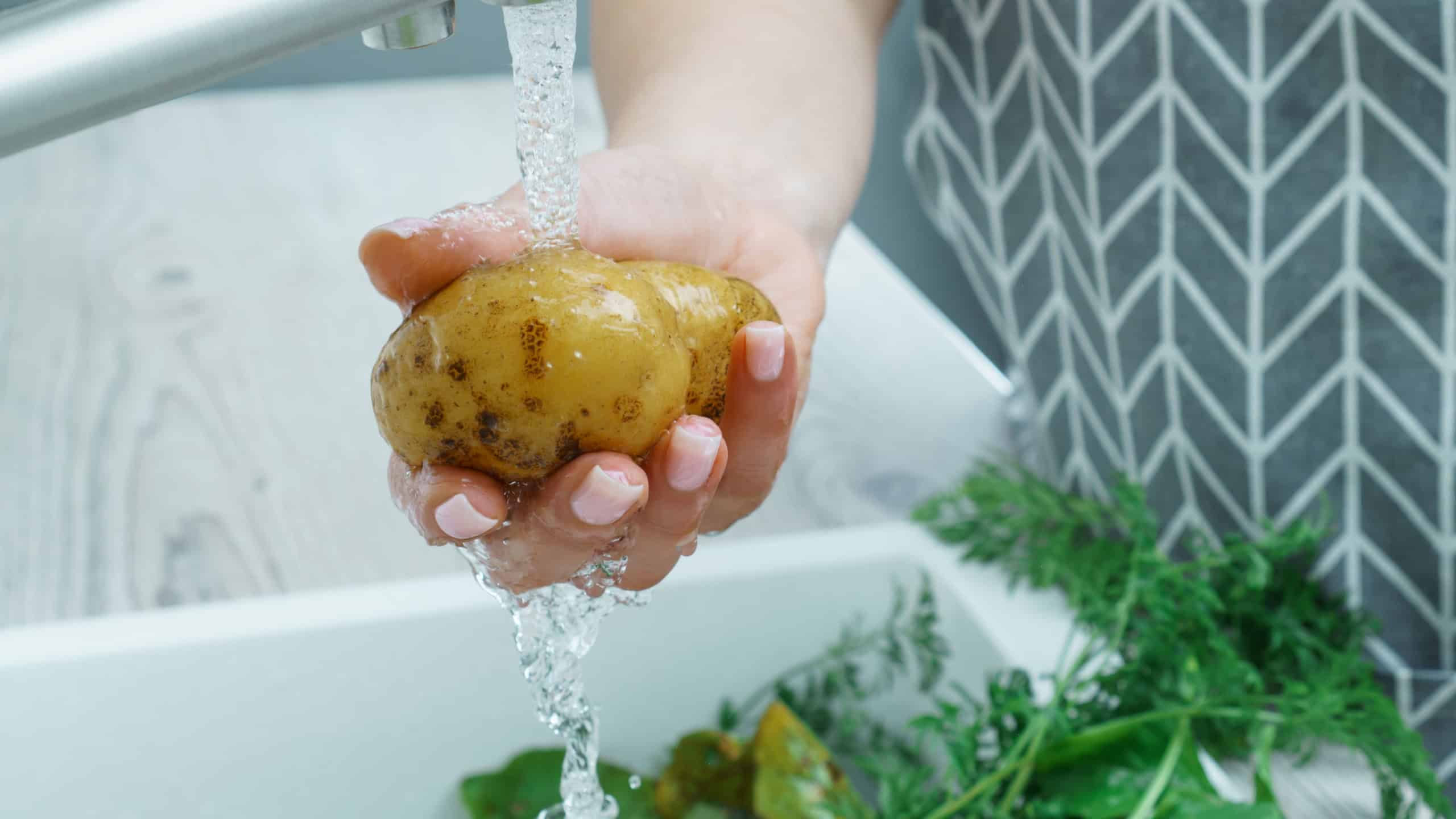 Cropped photo of woman wearing grey apron washing potato with hand under running water in sink full of greenery in kitchen