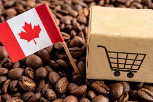 15 Canadian brands that prove we don’t need U.S. imports