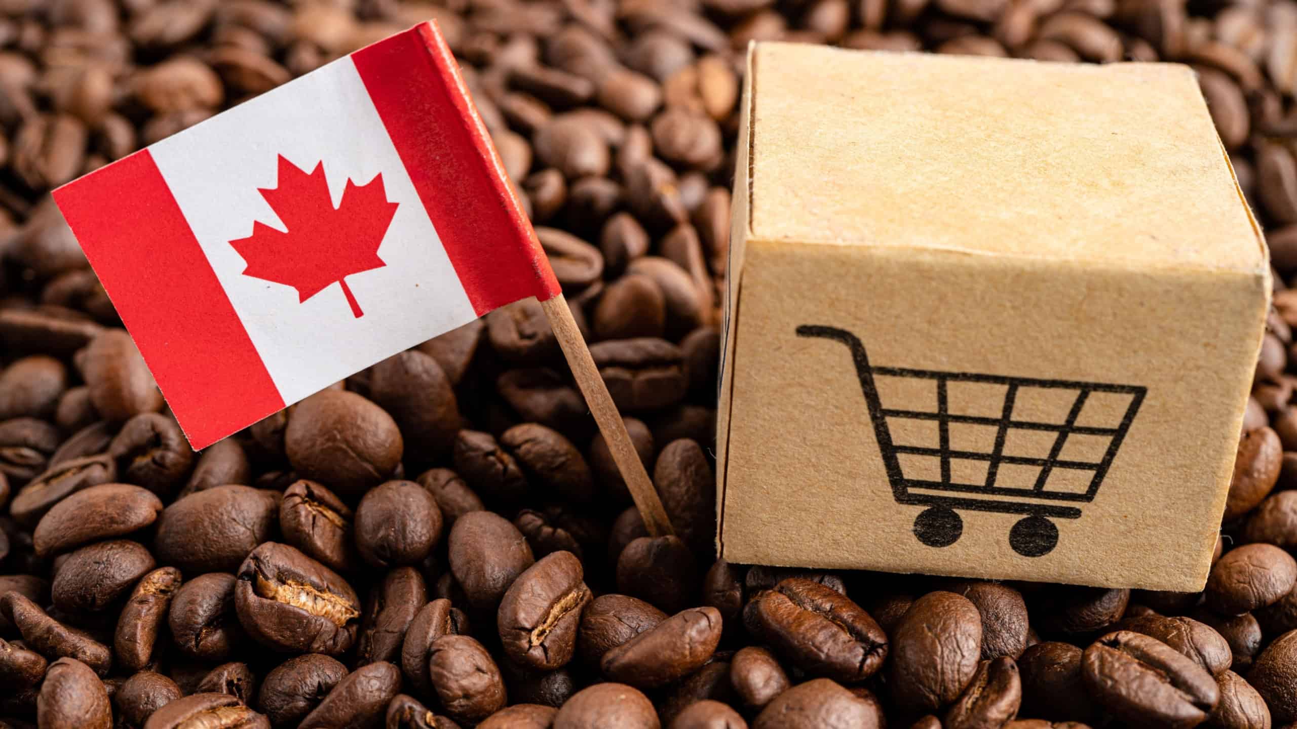 Canada flag with shopping cart on coffee bean, import export trade online commerce.