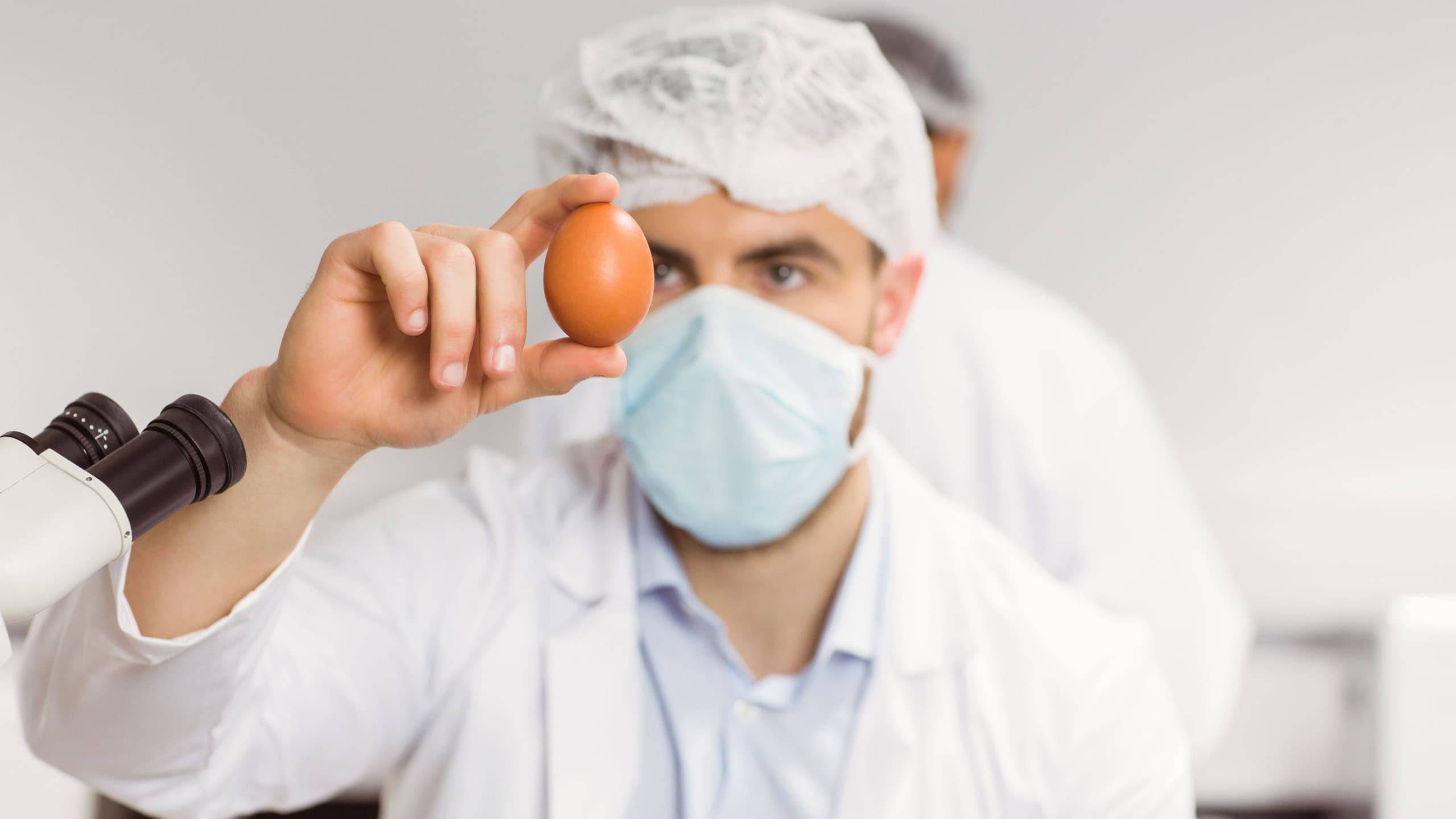 Food scientist looking at an egg at university
