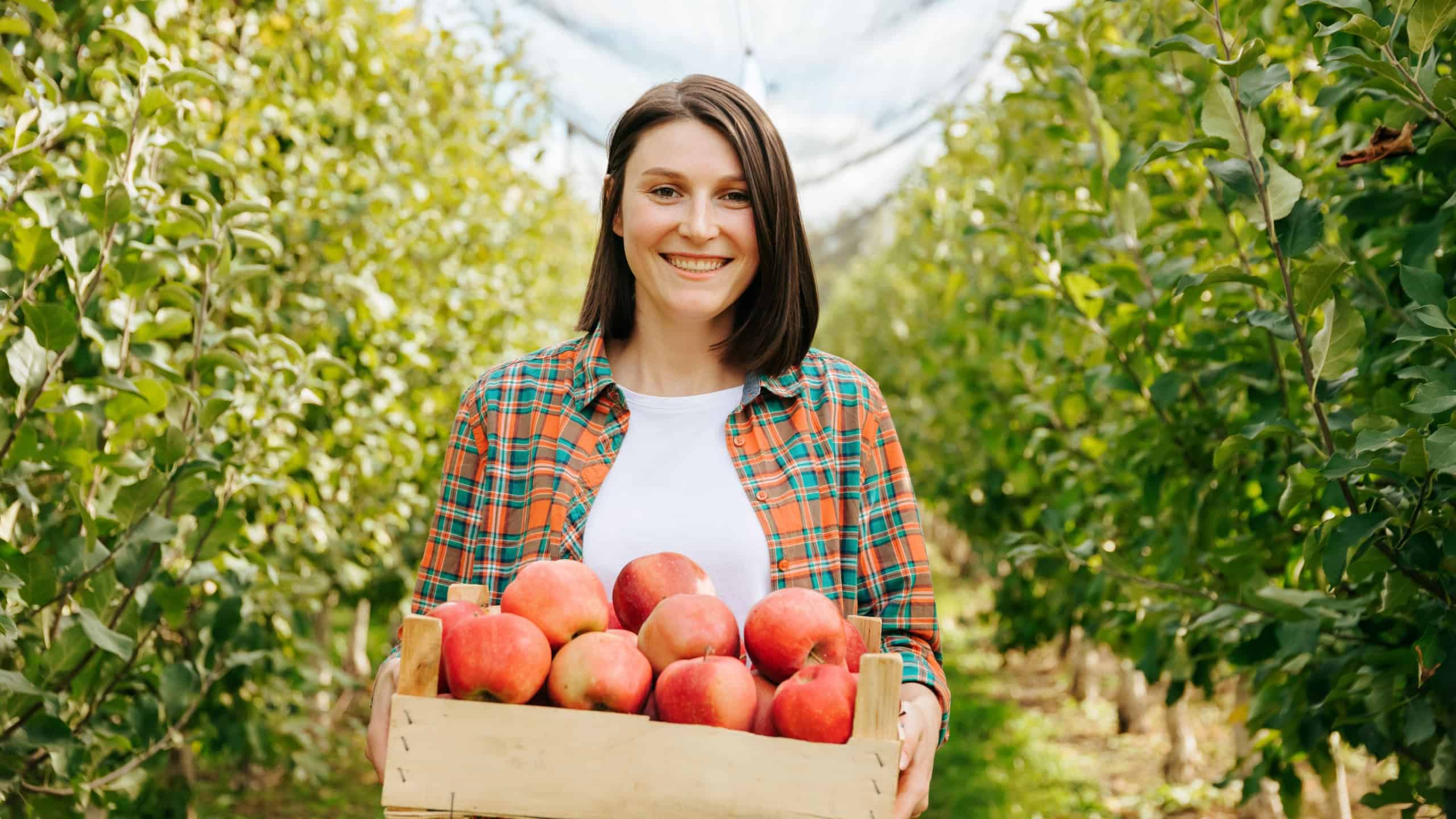 Beautiful young smile girl with short haircut is a farmer in an apple orchard admiring the harvest of apples. The female agronomist rejoices at such a rich harvest. Thriving apple business, farming.