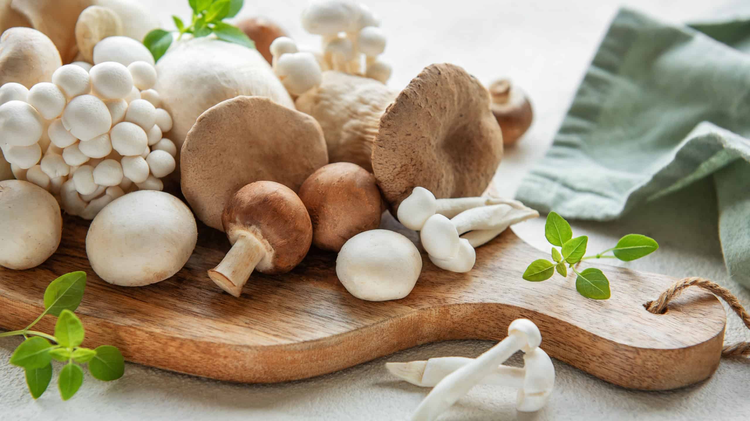 Assortment of various raw mushrooms on gray concrete background