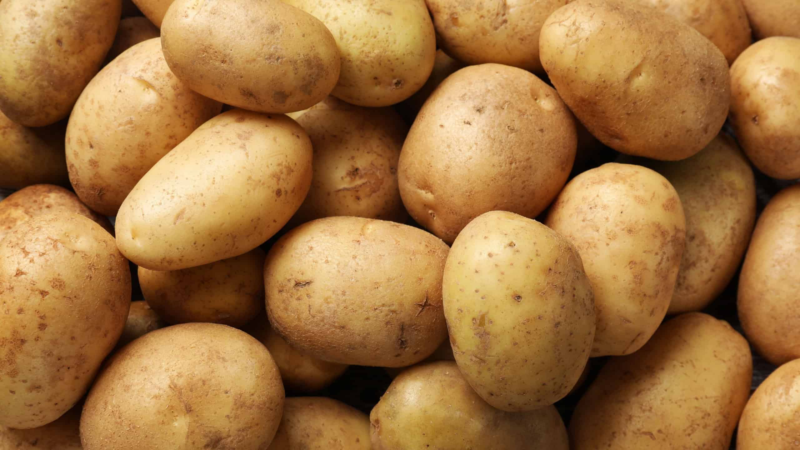 Many fresh potatoes as background, top view