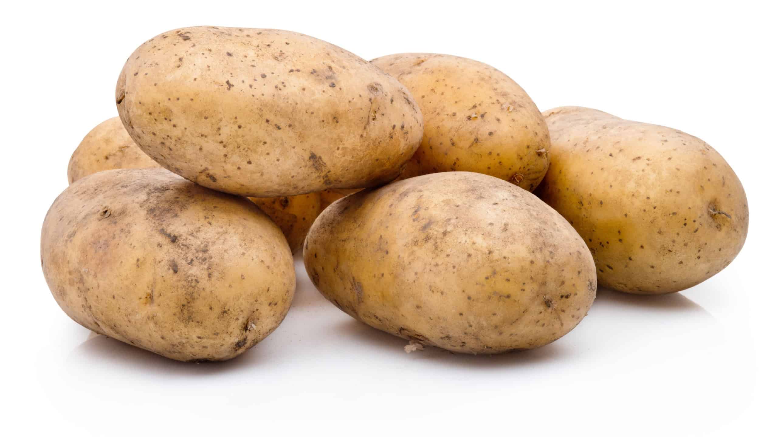 White dirty potatoes isolated on a white background