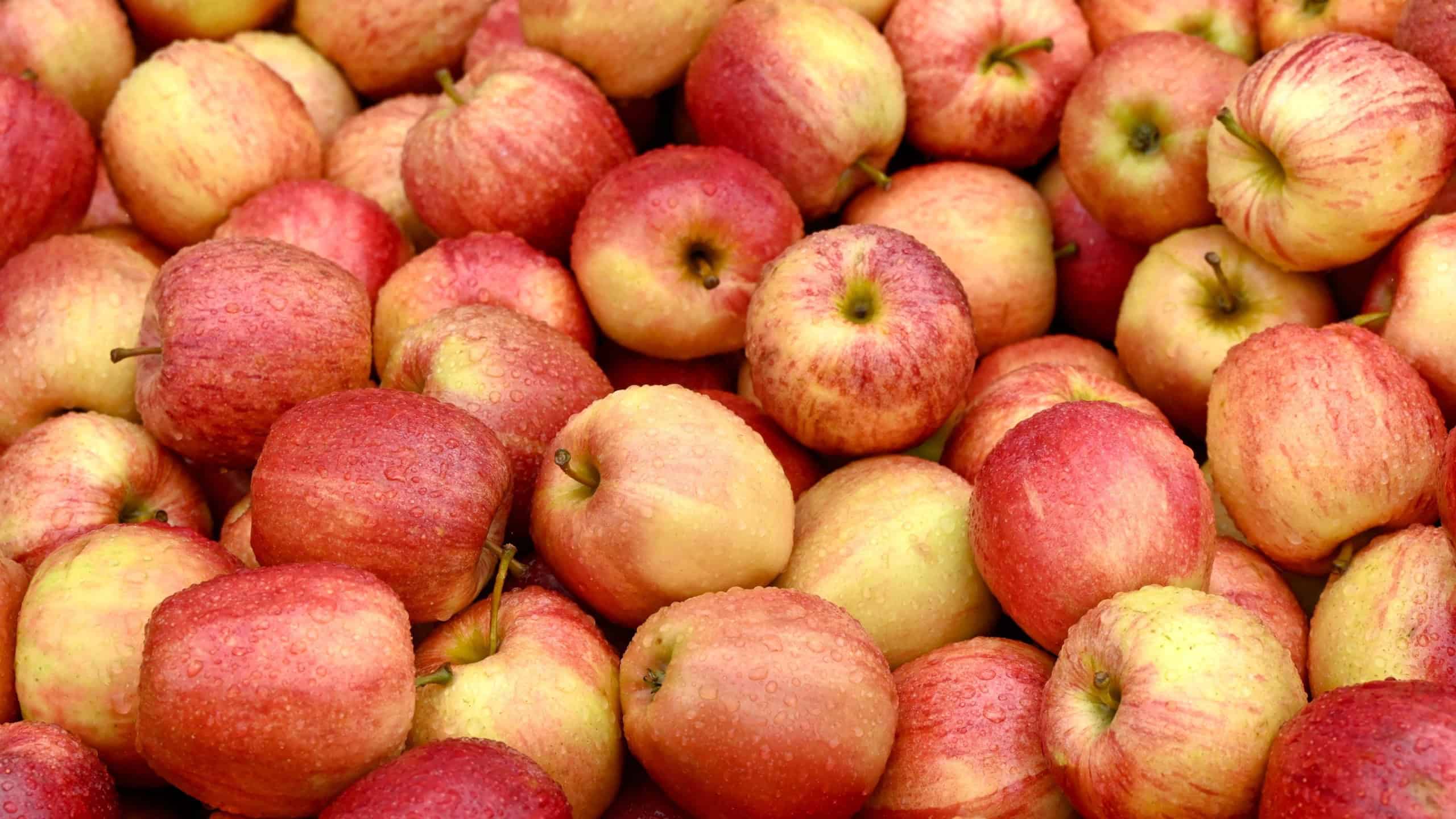Fresh raw Gala Apples on a greengrocers stall at a farmers market
