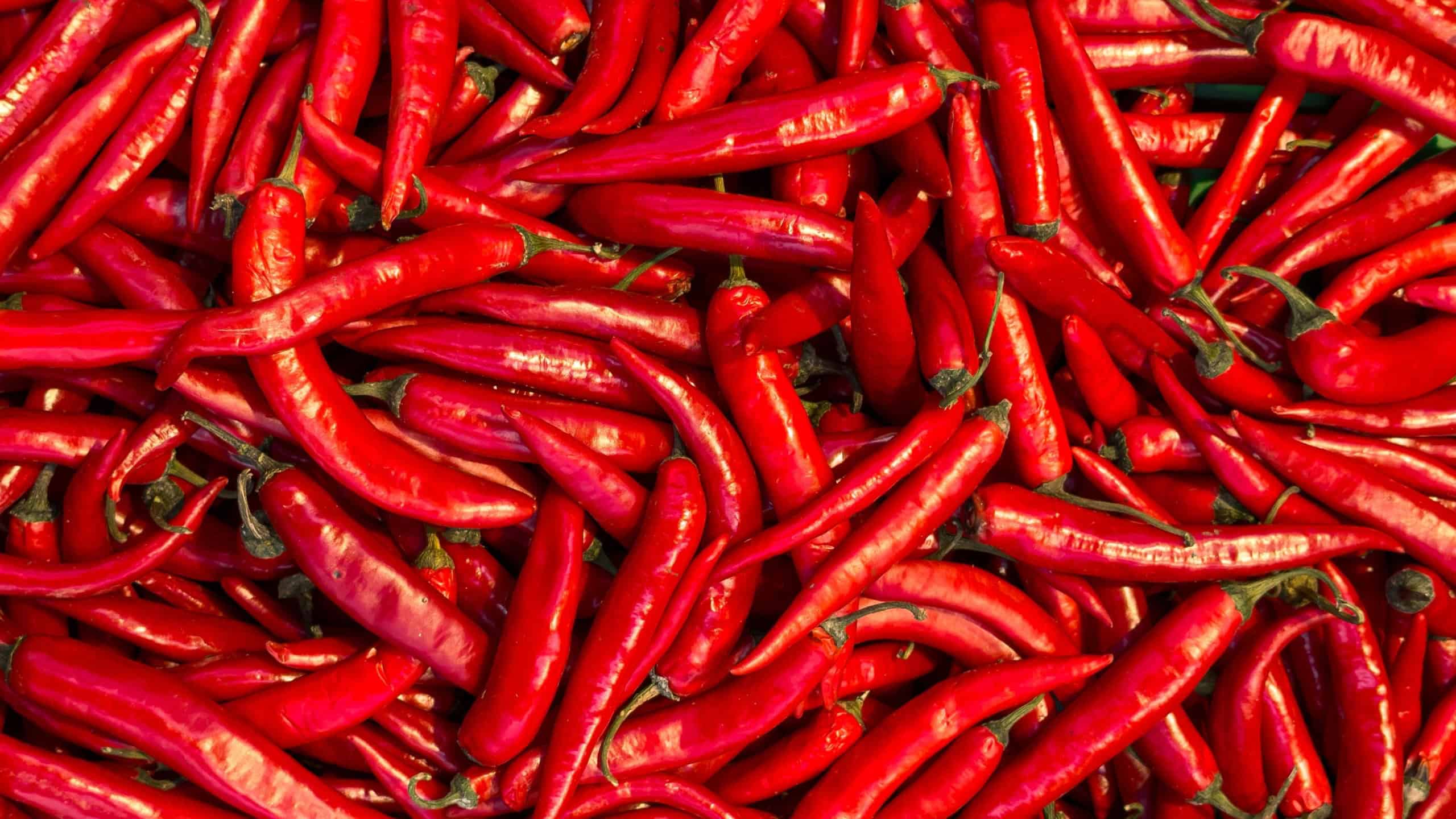 Fresh Red Chili Peppers Spicy Vibrant Food Background for Cooking and Market Projects
