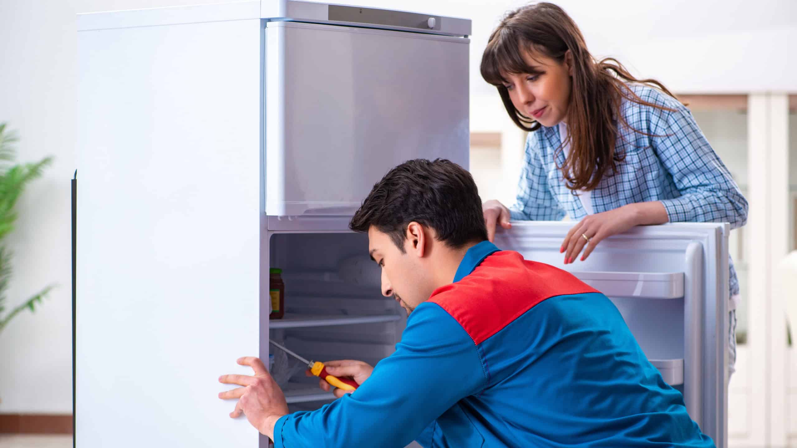 Man repairing fridge with customer